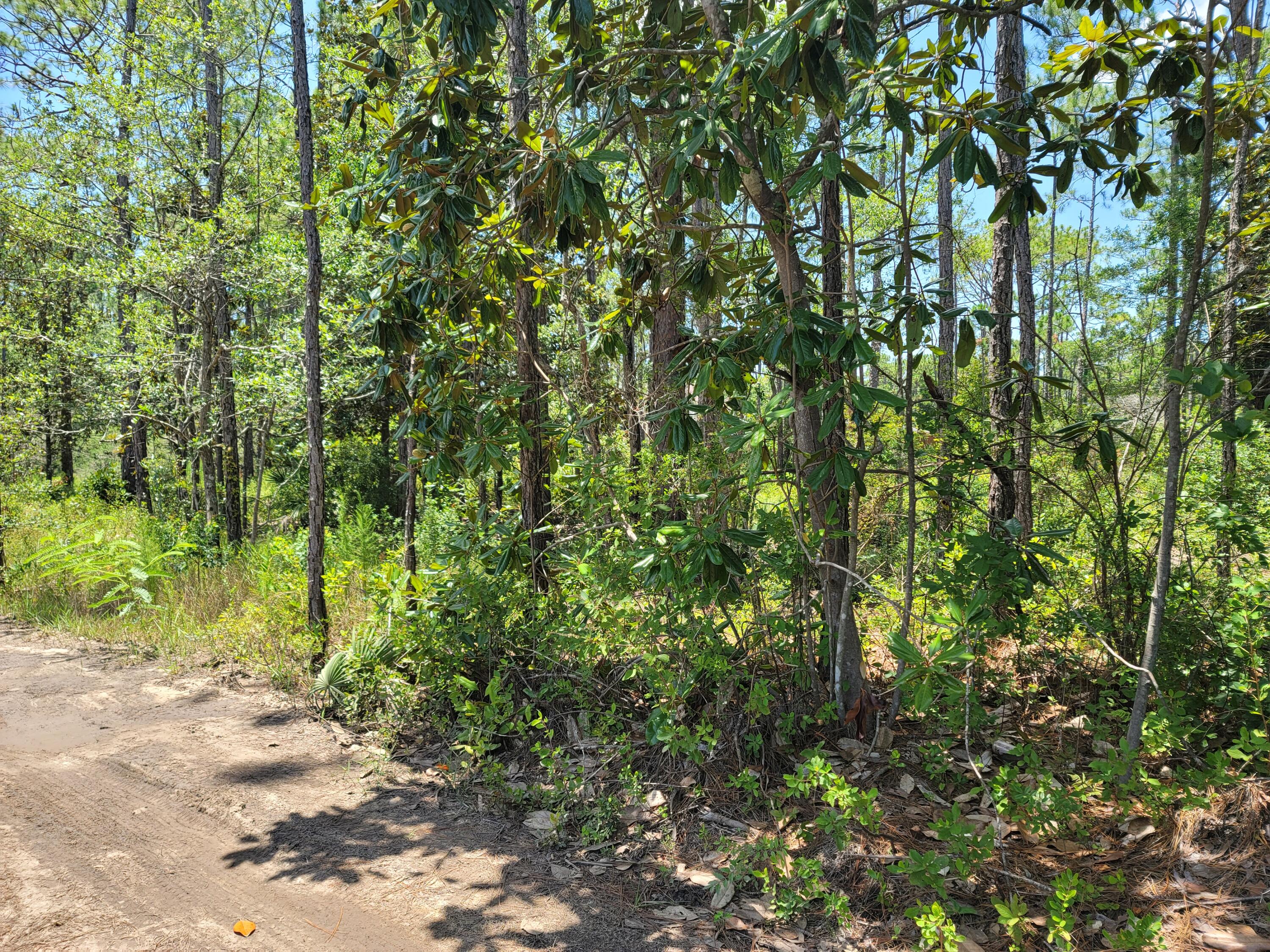 TOWN OF SANTA ROSA - Land