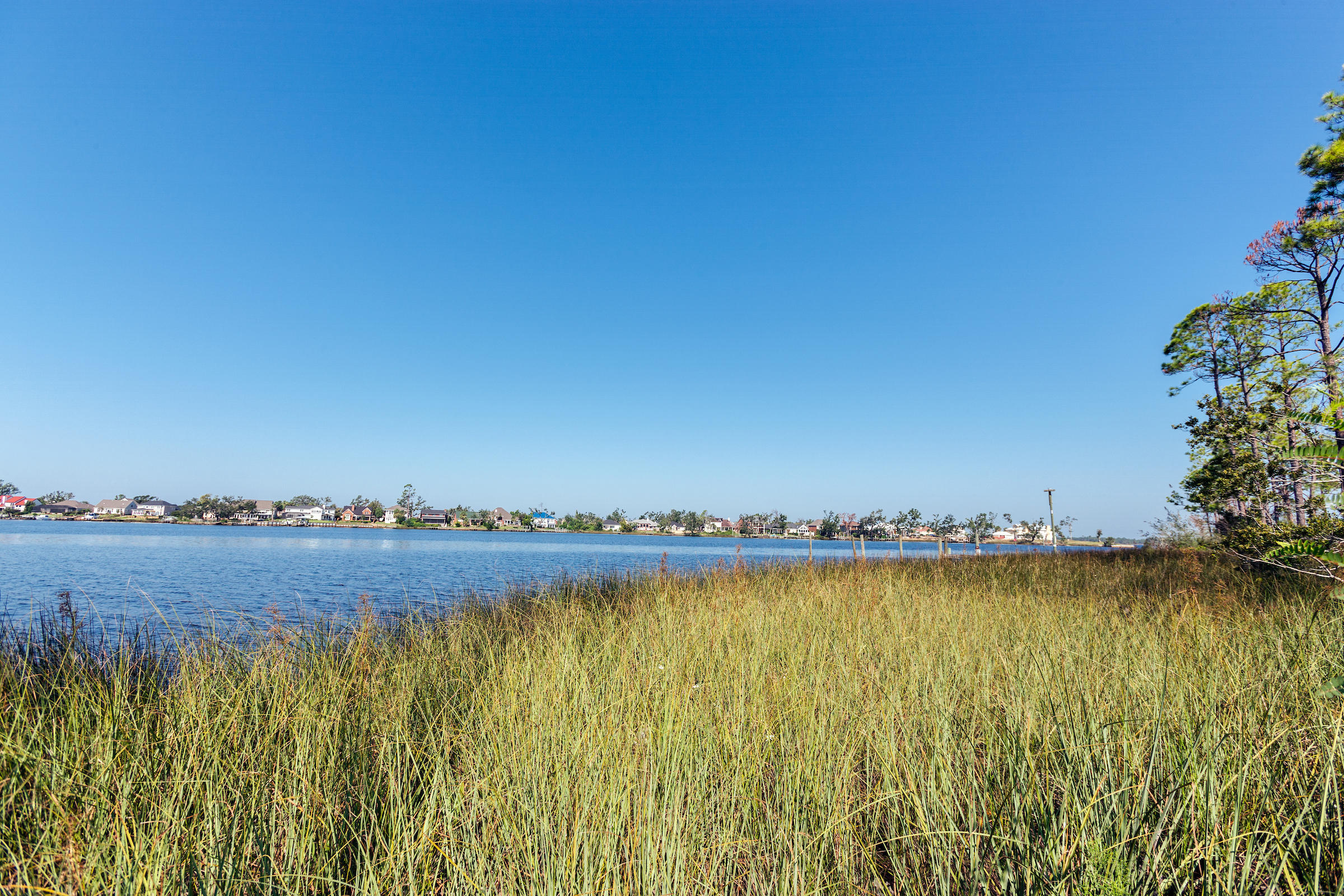 COLLEGE POINT 1ST ADDN - Land