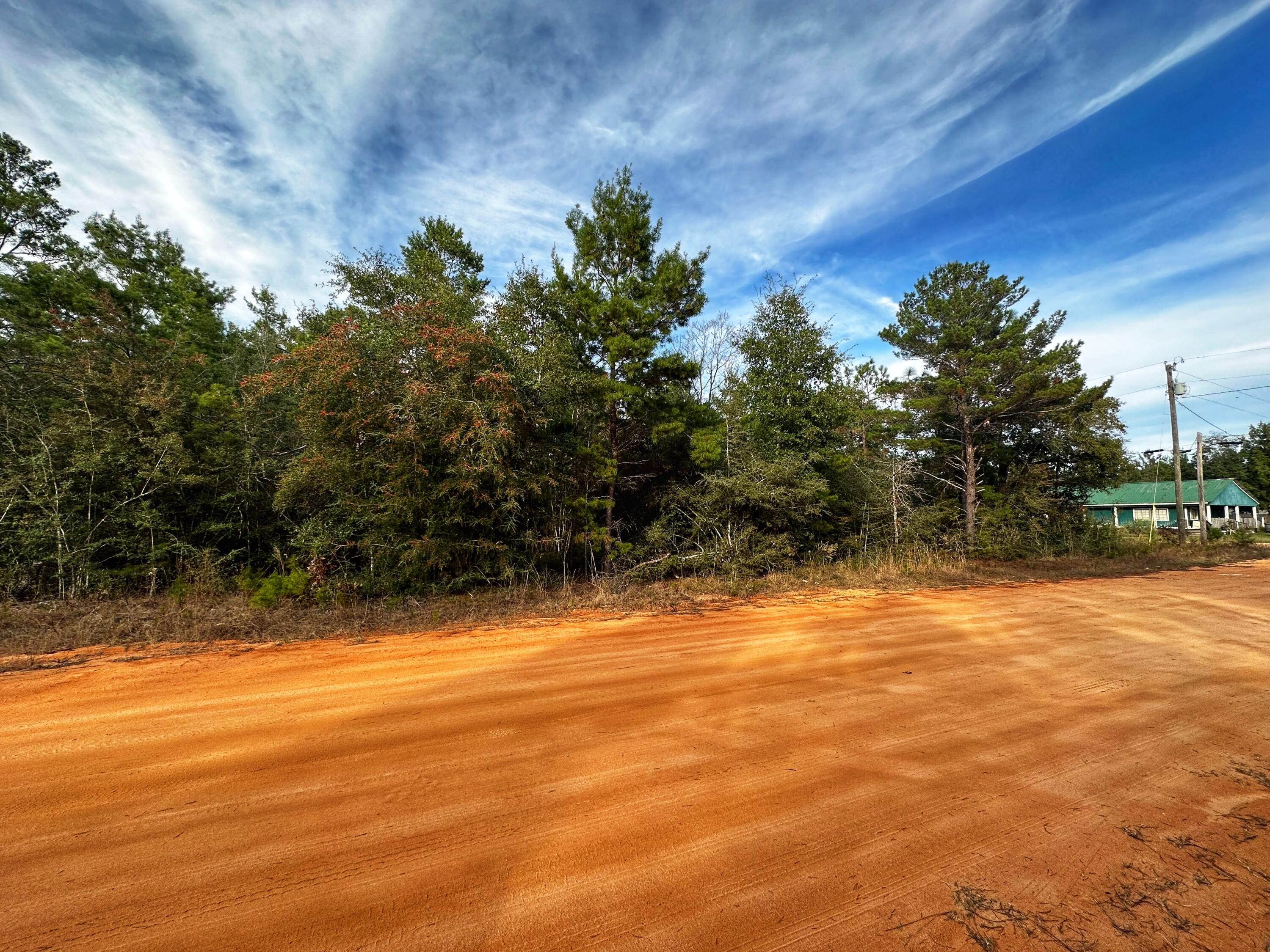 CALLING ALL BUILDERS!!! Three wooded buildable lots. Only 10 minutes to I-10. City water is available. Call today for a private showing!