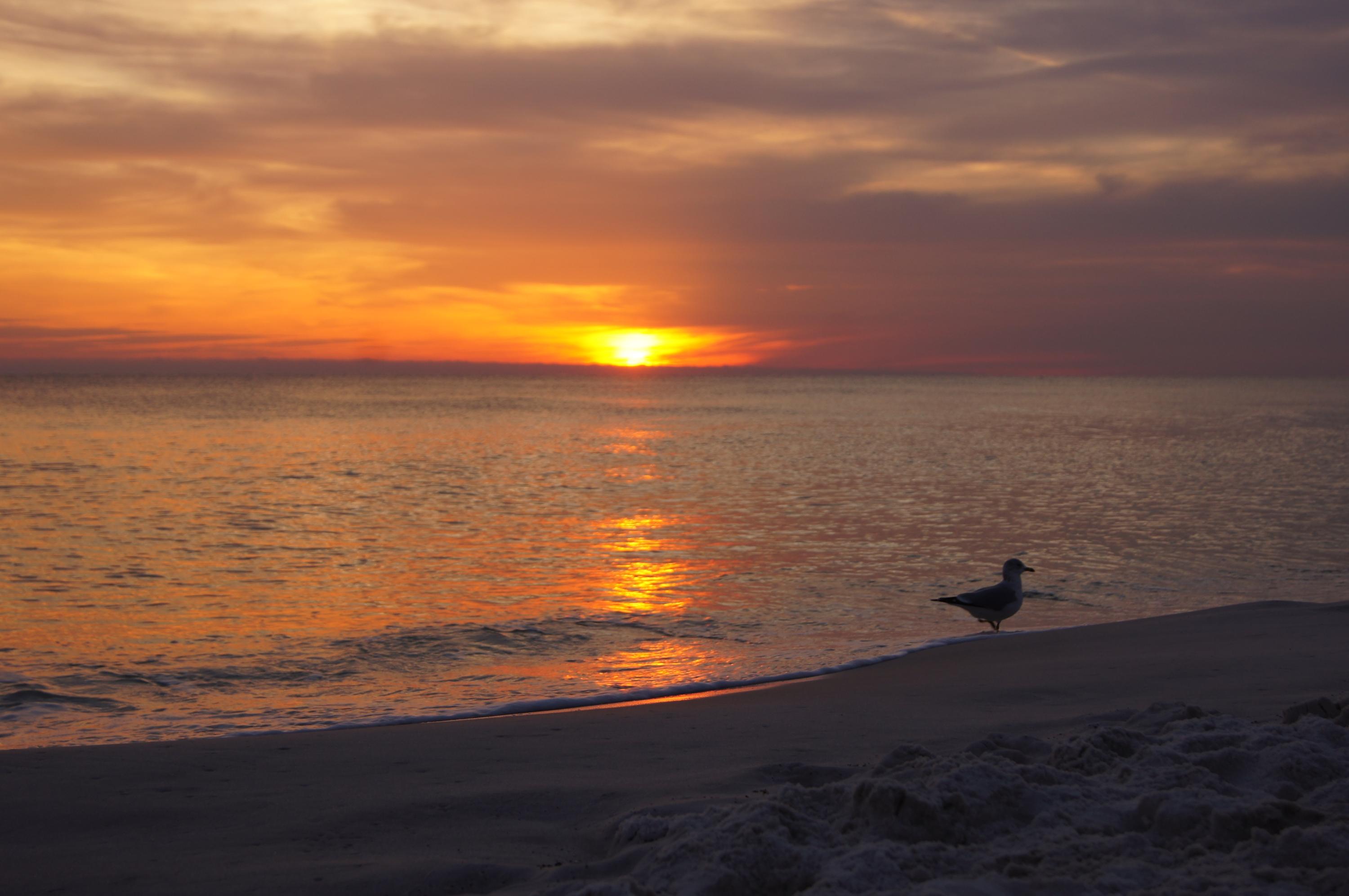 LEEWARD KEY - Residential