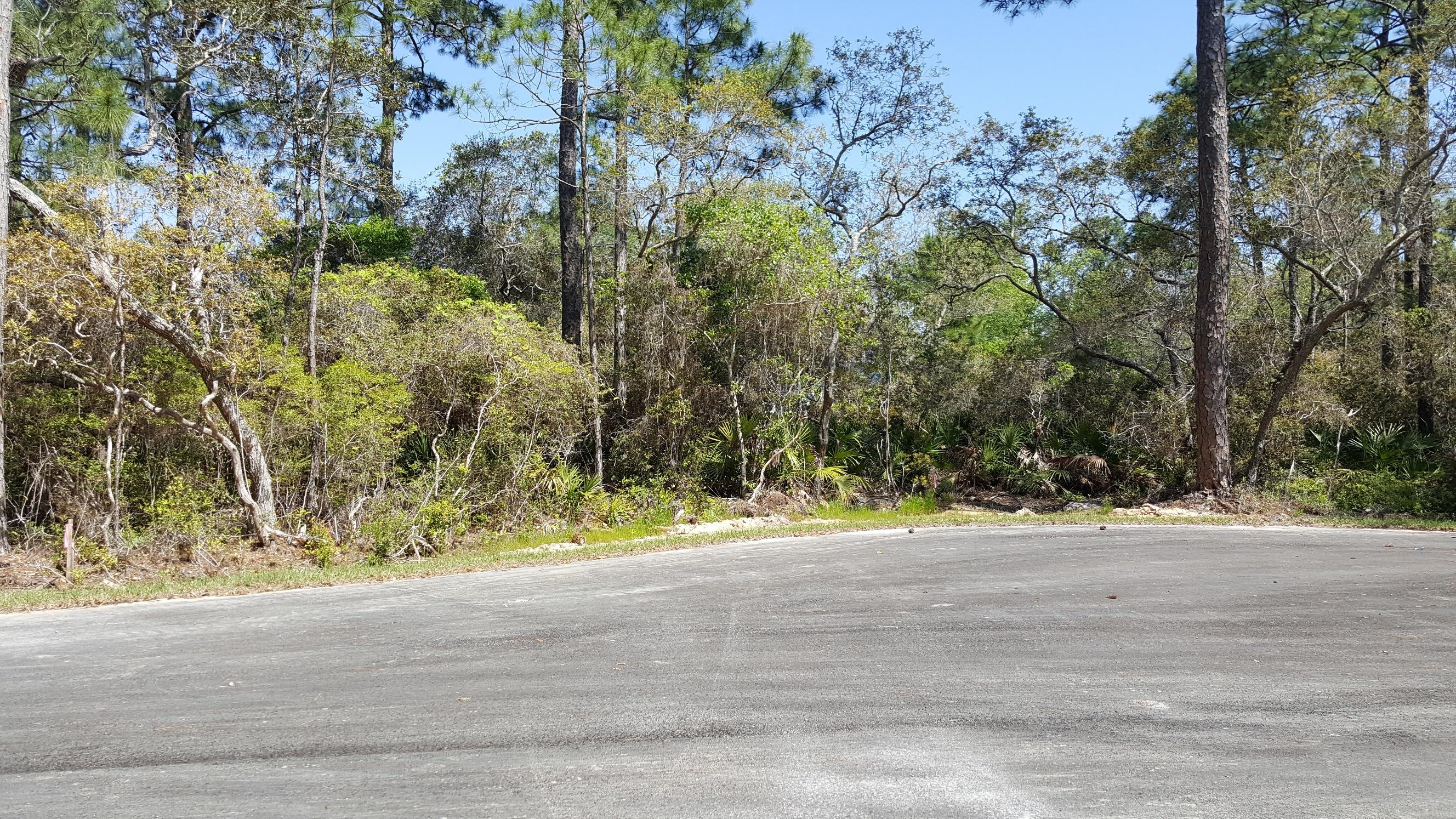 MACK BAYOU PARK - Land