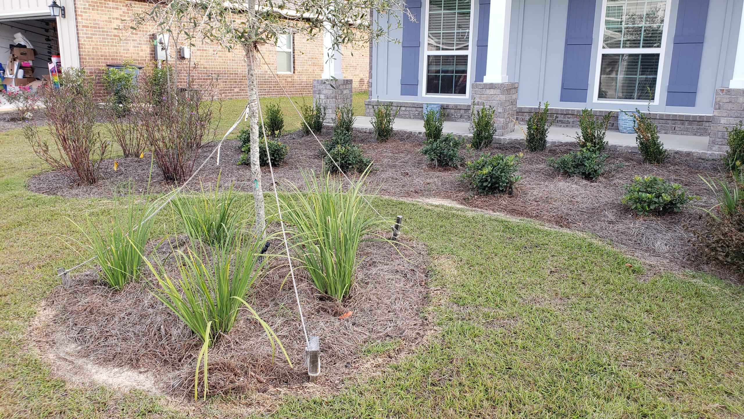 CENTRAL PARK AT HAMMOCK BAY - Residential