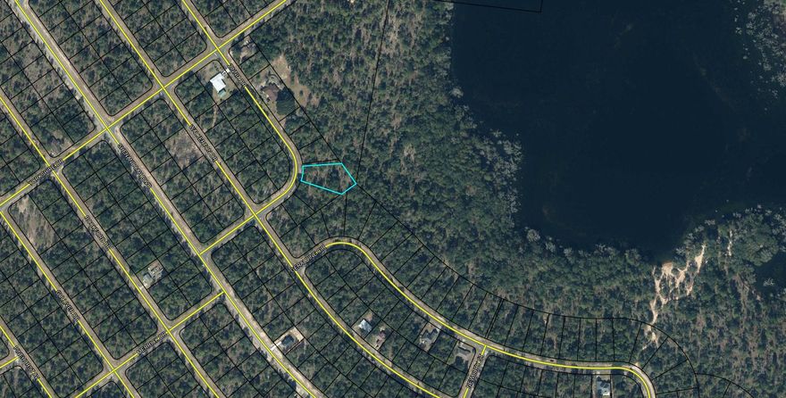 Looking to build a home in a community with a golf course, clubhouse, lakes throughout for recreational activities such as swimming, boating, and fishing, but also a short drive to the beach? This .551 acre lot in Sunny Hills is waiting for you! Located in the front by one of the main entrances off of 77, allows easy access to your home and Three streets over, you have access to one of the many white sandy beach lakes located in Sunny Hills For recreational use. This location provides a short drive, approximately 45 minutes to Panama City beaches, Northwest Florida Beaches International Airport, and Pier Park shopping when you want to visit a different slice of heaven. Approx. 20 miles from local shopping, medical, and other local amenities in Chipley