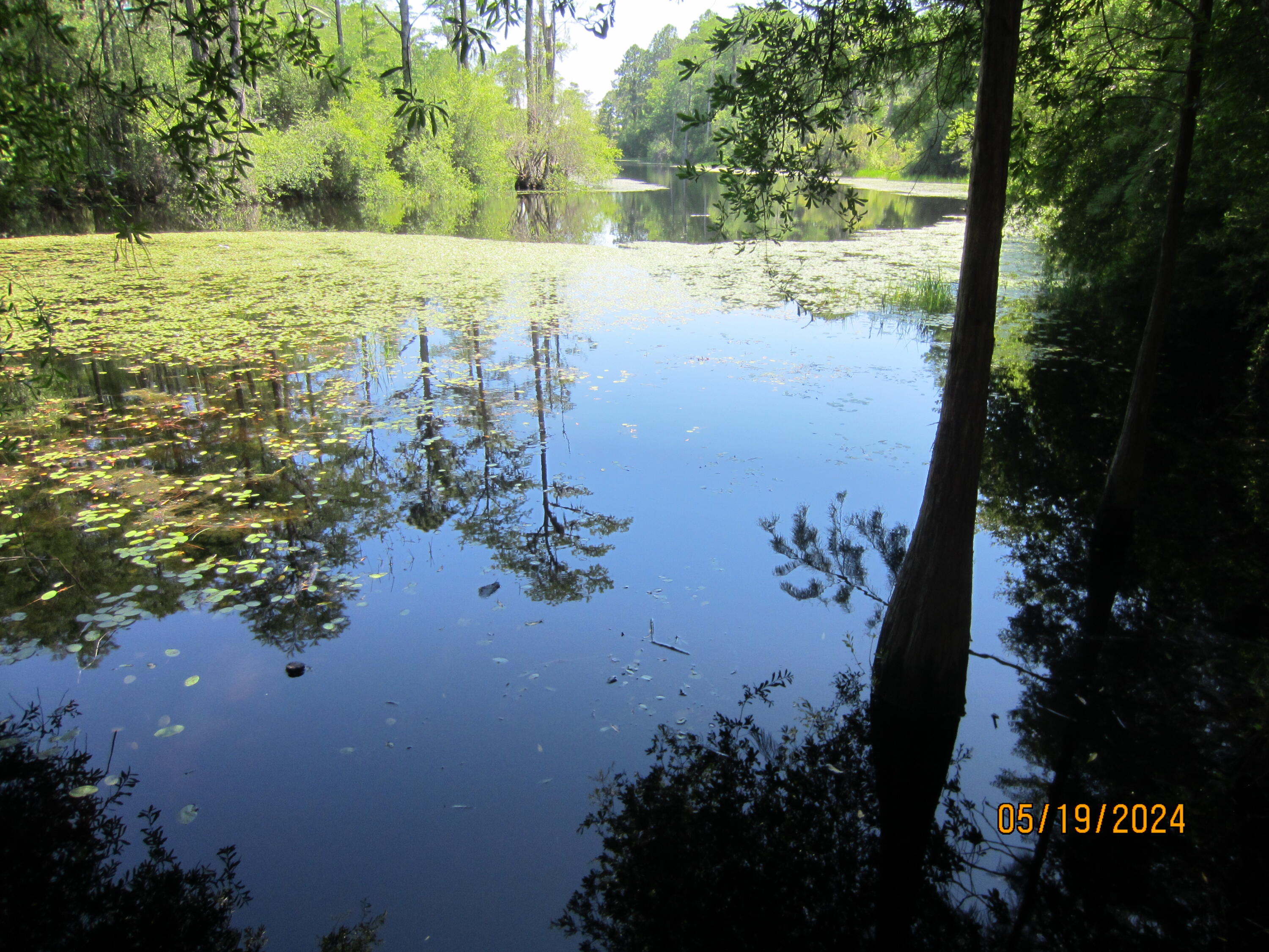 MOTIVATED SELLERS......PRICE REDUCTION Waterfront residential lot located in the Blue Mountain Beach vicinity off Scenic 30A. This highly desirable location in South Walton is noted for its pristine white sand beaches, quality restaurants, shopping and is a vacation paradise. This beautiful lot is located on a unique Cypress Lake that has both fish & wildlife. The lot is located on a peaceful and secluded portion of the lake. Terrific location for that vacation or permanent home. Ride your Golf Cart or Bicycle to the Beach. Take advantage of this tremendous opportunity today. This is your opportunity to have that piece of paradise. Make that offer today.