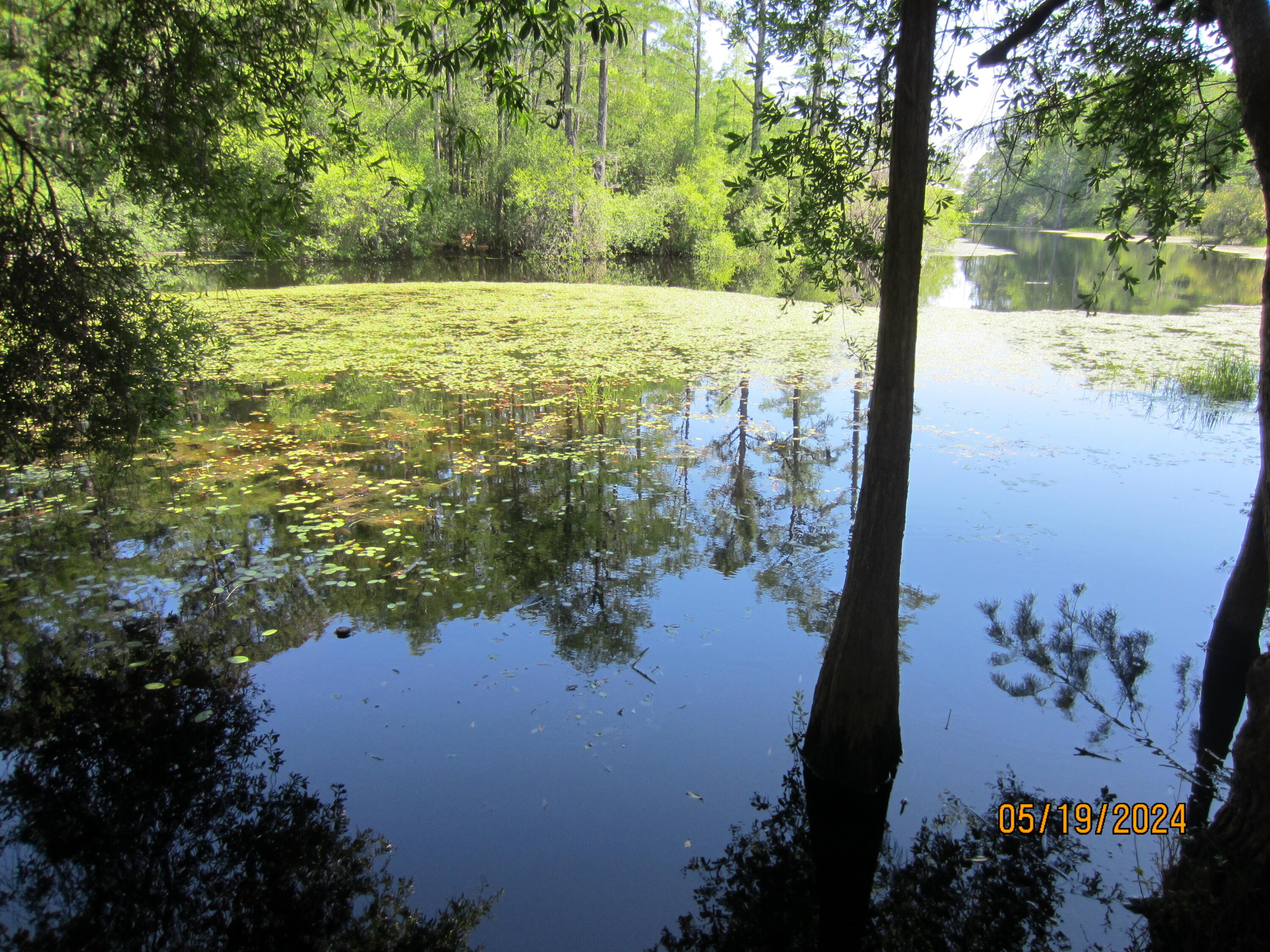 GULF HILLS ESTATES UNREC - Land