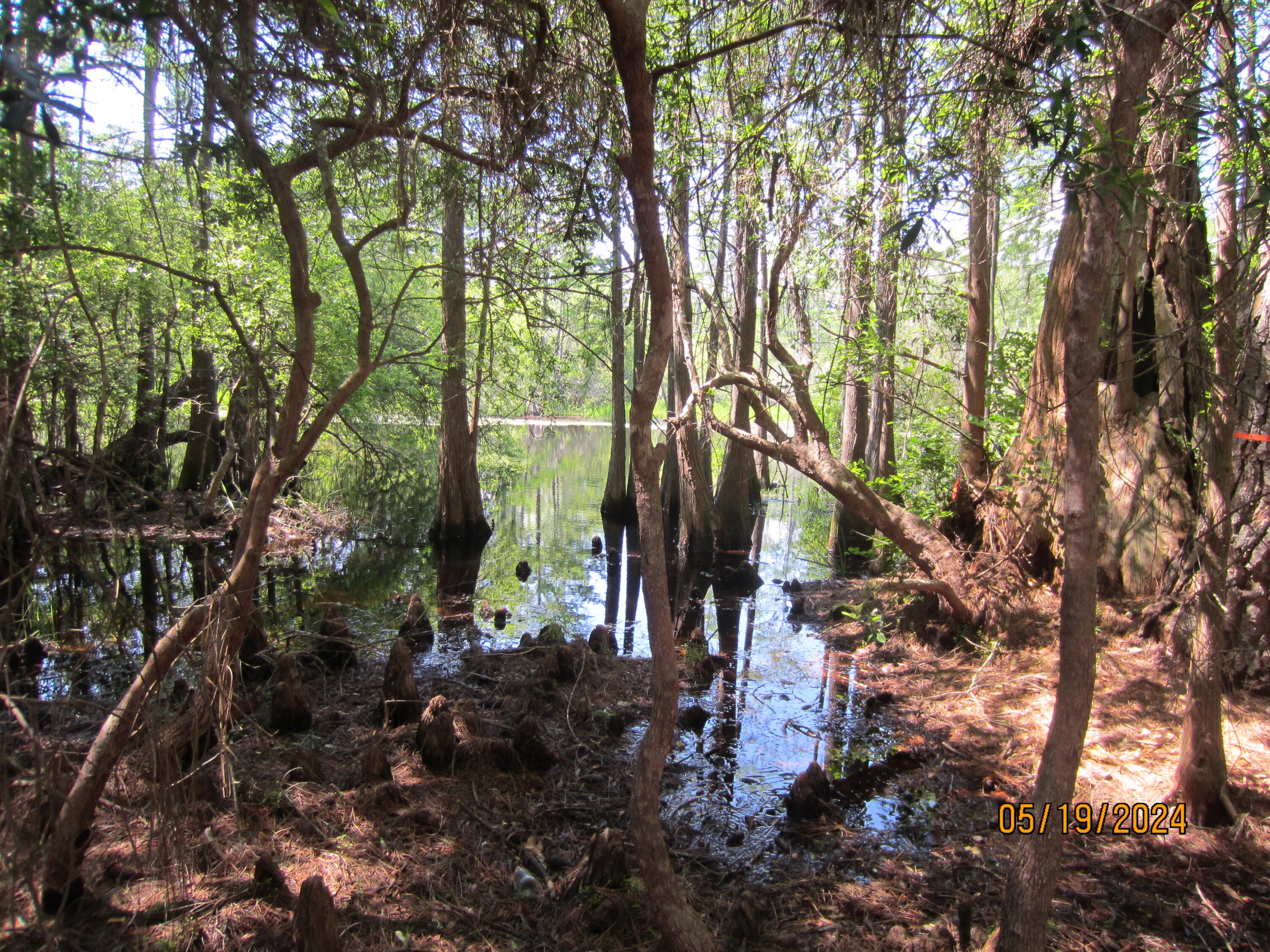 GULF HILLS ESTATES UNREC - Land