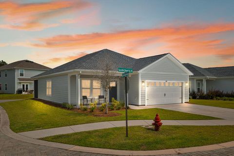 Photo of 240 N Speckled Trout Lane, Freeport, FL 32439 (MLS # 985846) Photo of 240 N Speckled Trout Lane, Freeport, FL 32439 (MLS # 985846)