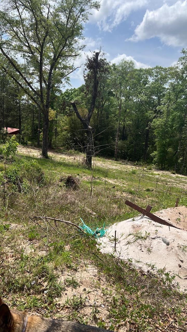 2312-Defuniak S.W - Land