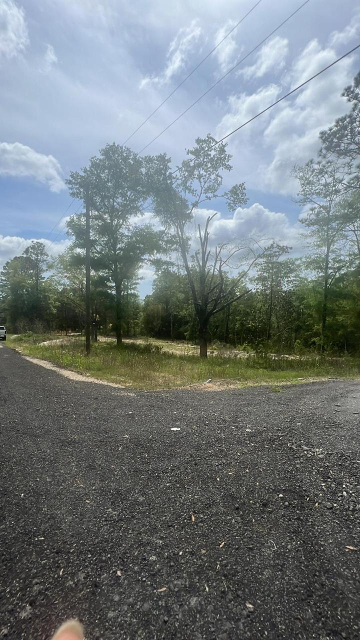 This 1.94-acre property in DeFuniak Springs presents a unique opportunity for those seeking a rural lifestyle with easy beach access. Located on 331 S, the property features a cleared terrain and is free from HOA restrictions, allowing residents to choose their preferred living arrangements, including manufactured homes or custom-built residences. With power lines along the street and public water availability with a tap fee, the property requires a septic system for waste management. Conveniently situated by I-10 and Walton County's beaches, this property offers the perfect balance of rural tranquility and accessibility to amenities and services.