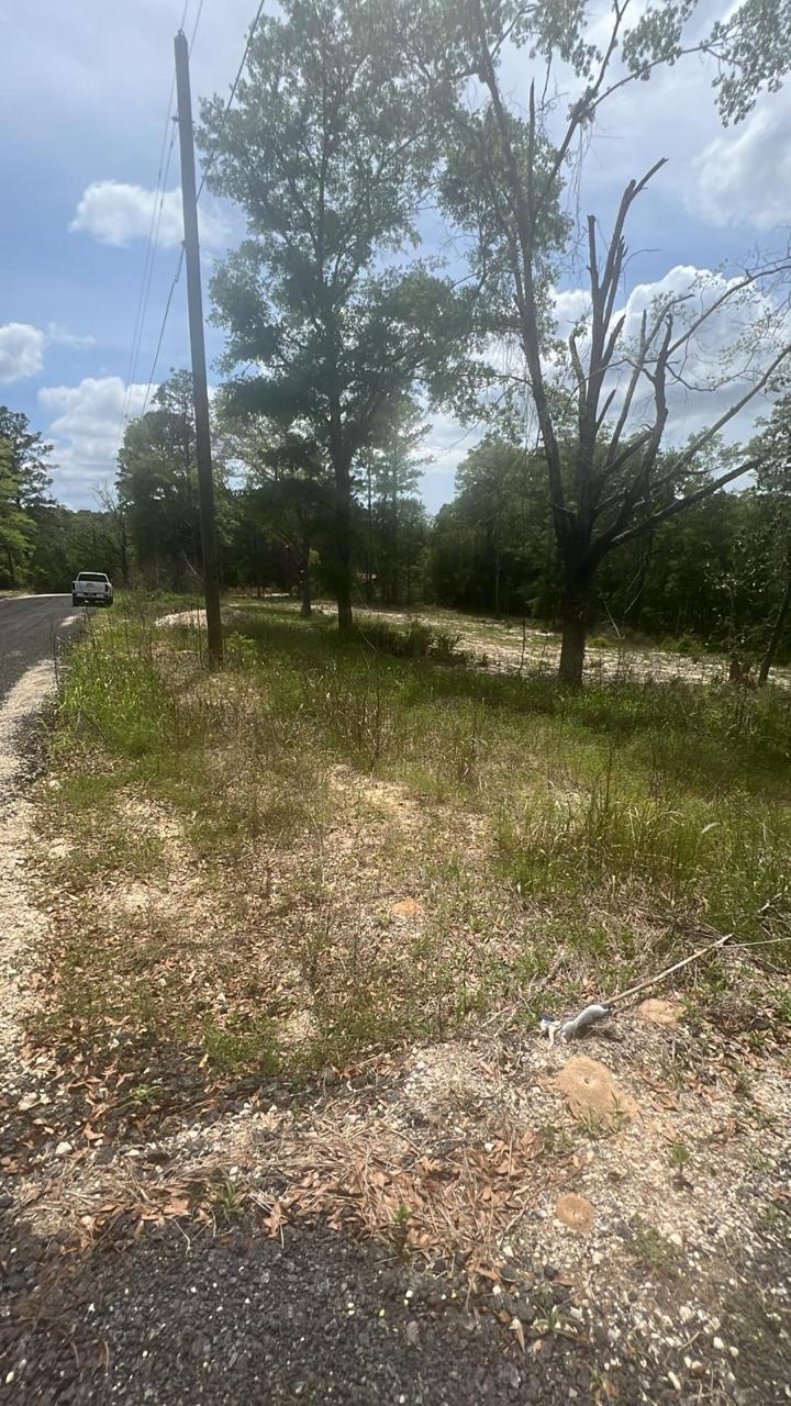 2312-Defuniak S.W - Land