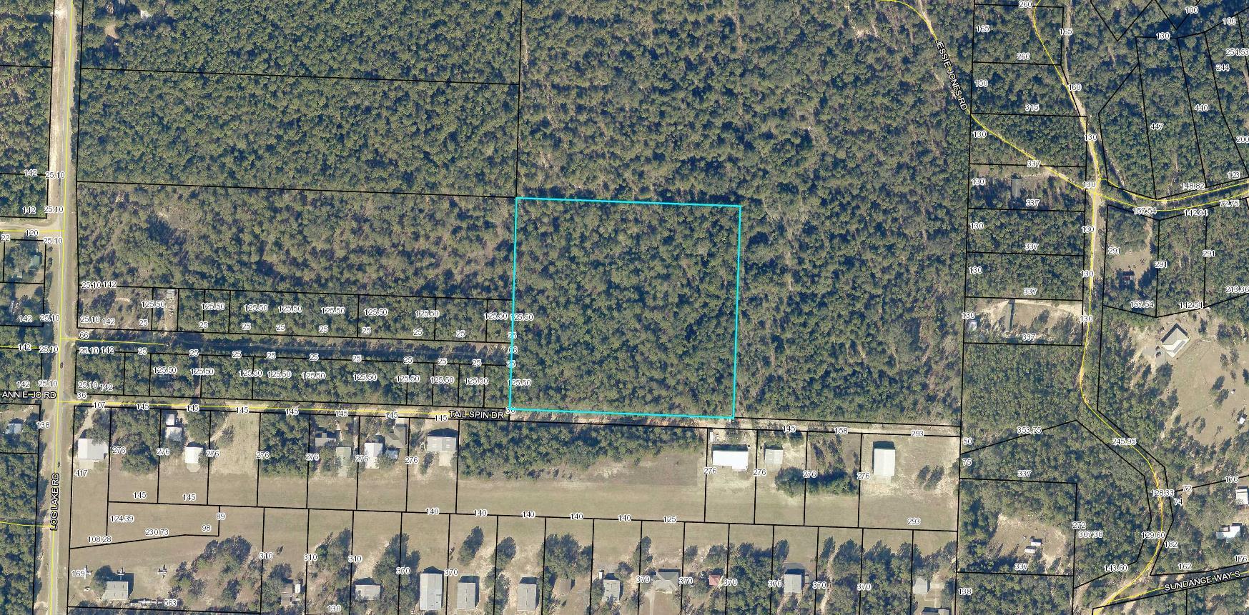 Calling all pilots! Quick access to Hwy 10 and Hwy 90 via Log Lake Road. Tailspin Dr is a private road. The 10 acres sits across the road from the airstrip in Holt. Perfect location for flyers.