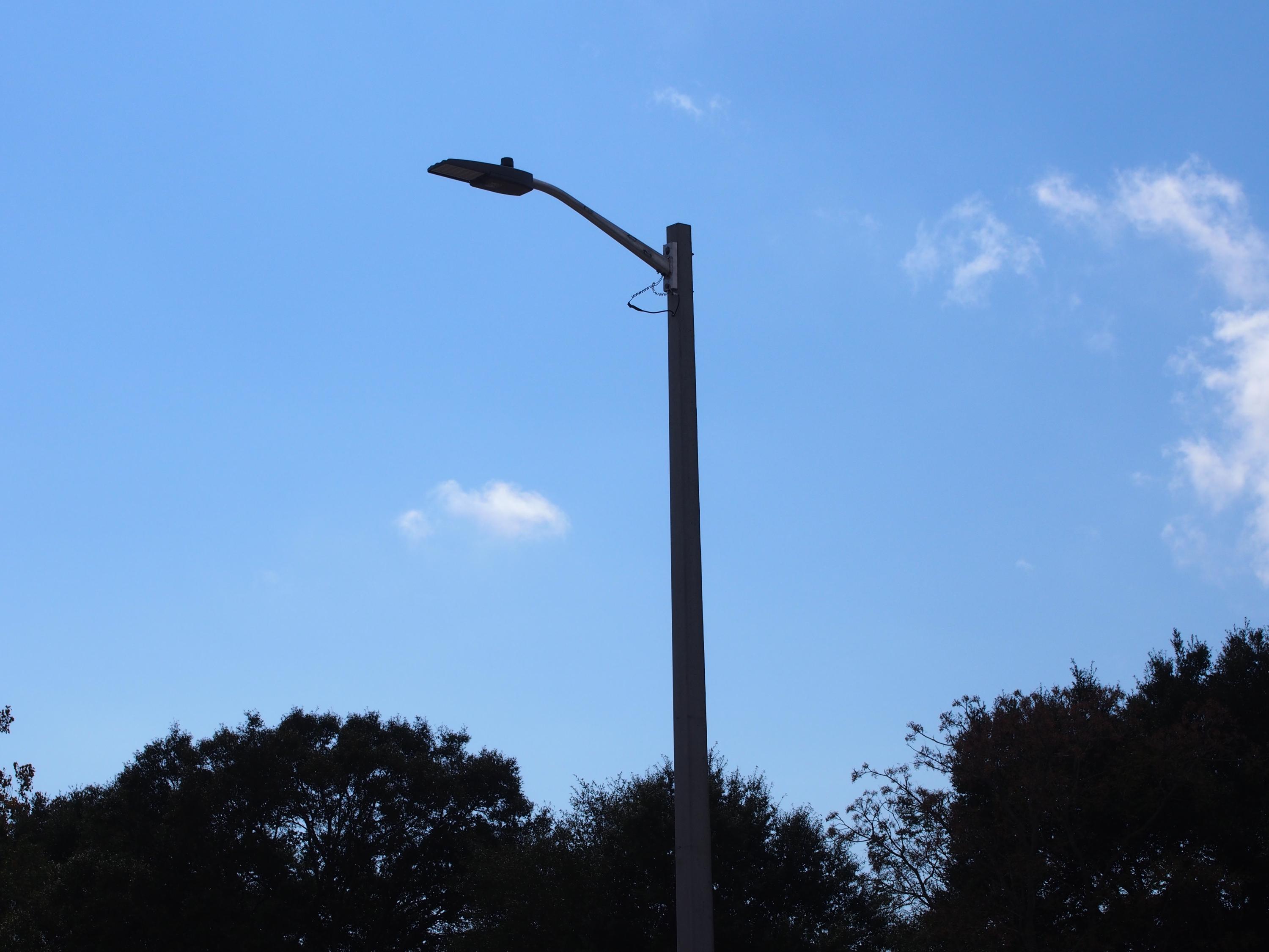 MAJESTIC OAKS AT OCEAN CITY - Residential