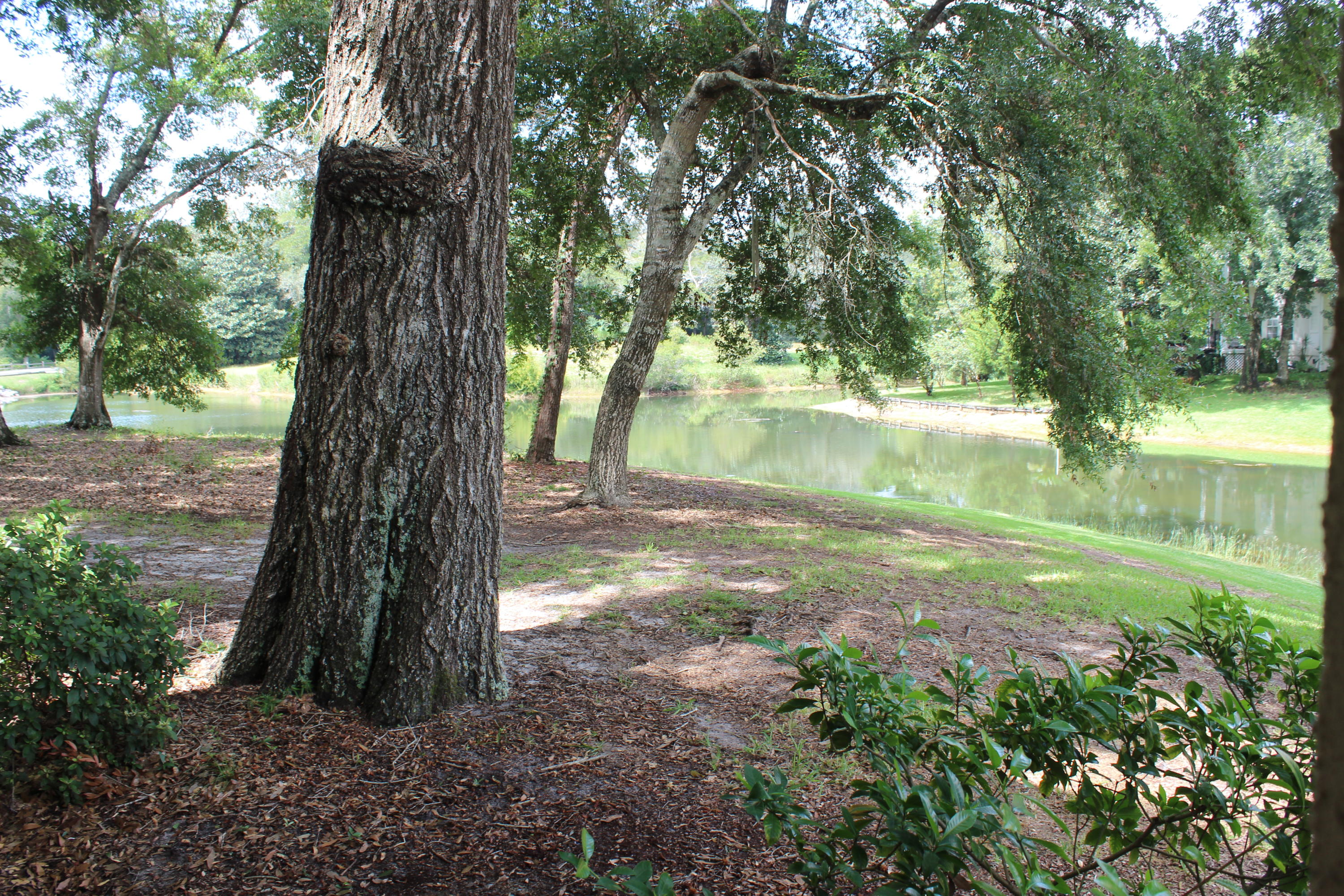 BLUEWATER BAY VILLAGE 1A - Residential