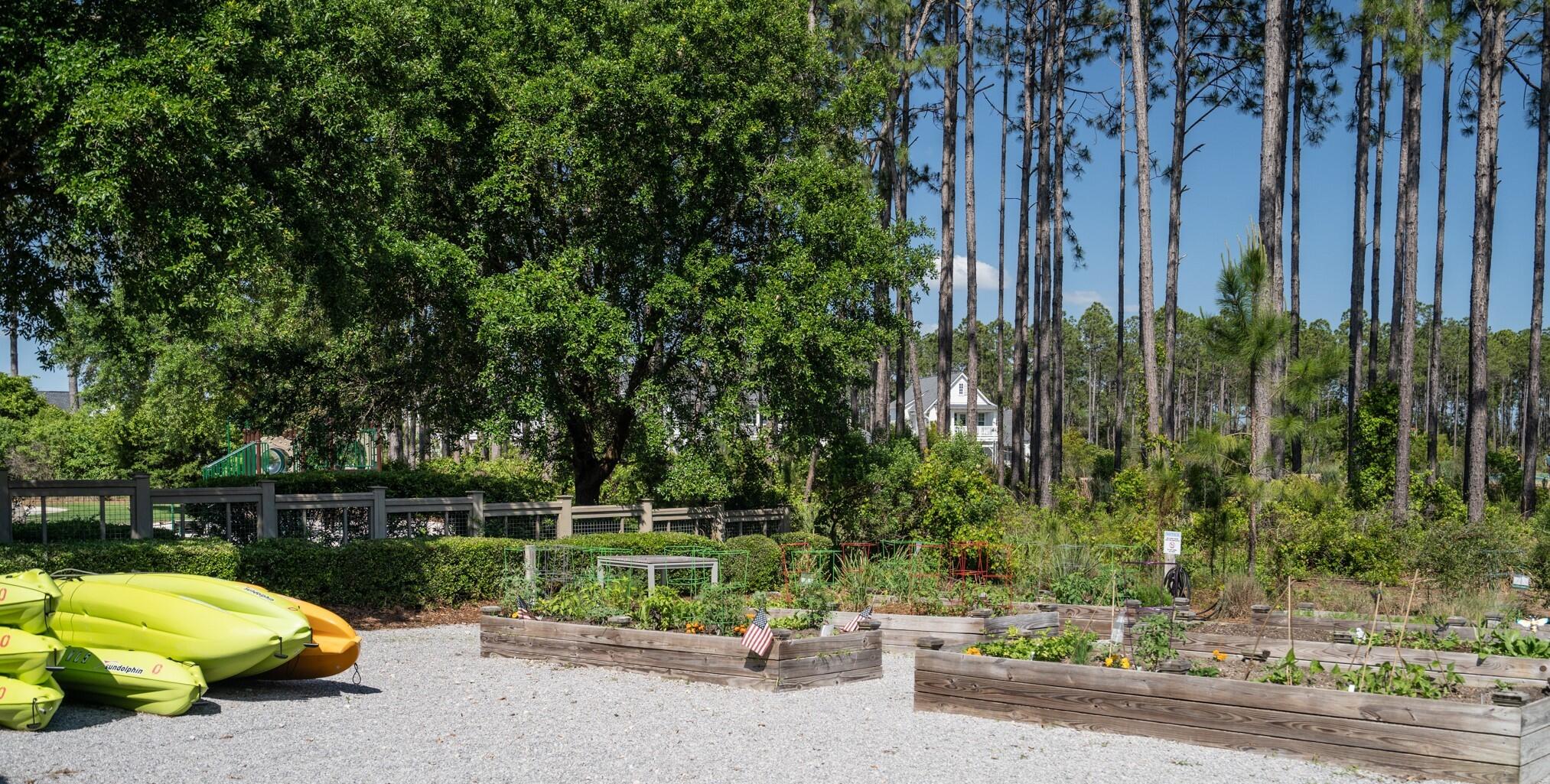 Naturewalk at Watersound Origins - Residential