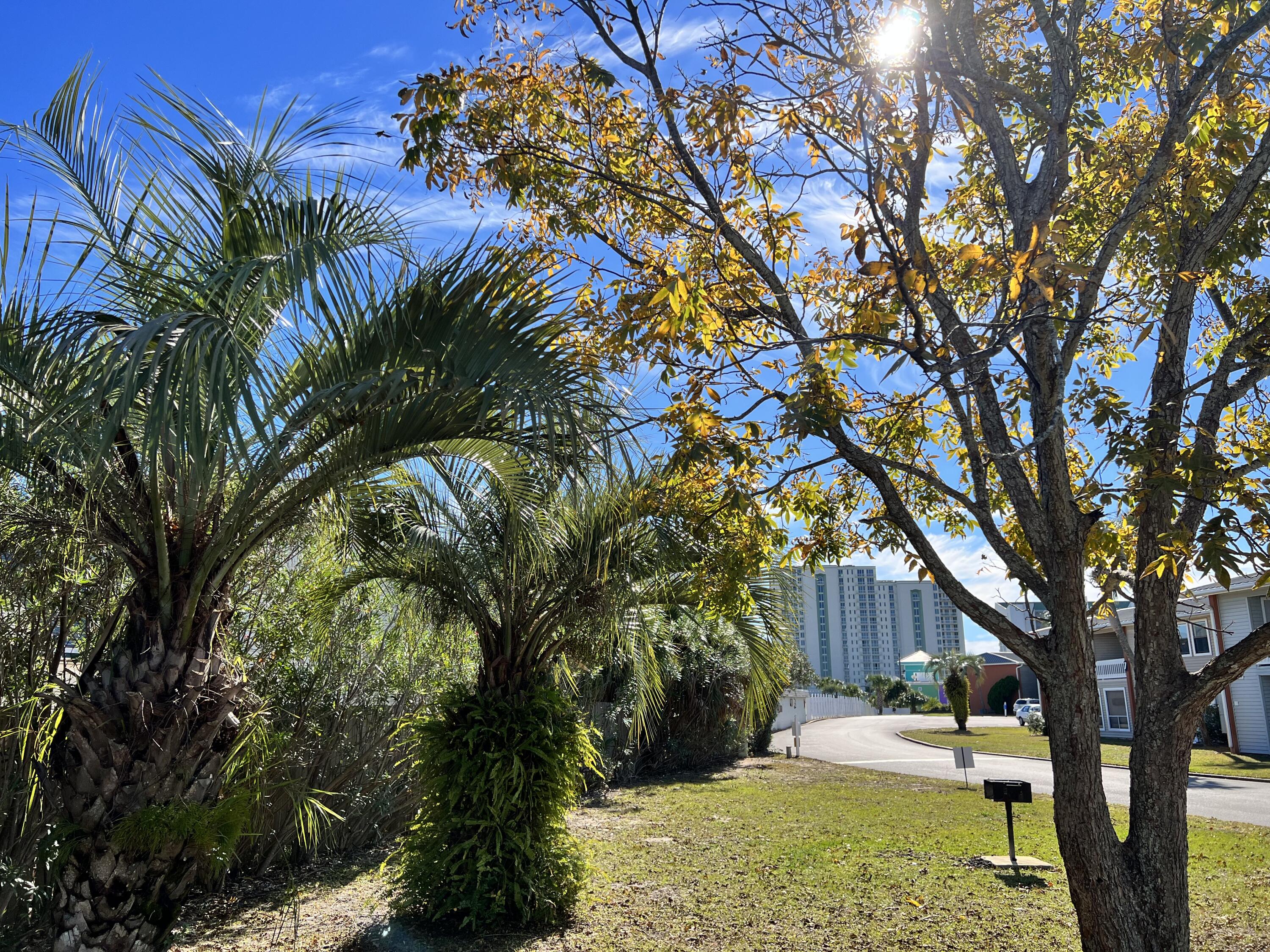 GULF TERRACE CONDO - Residential