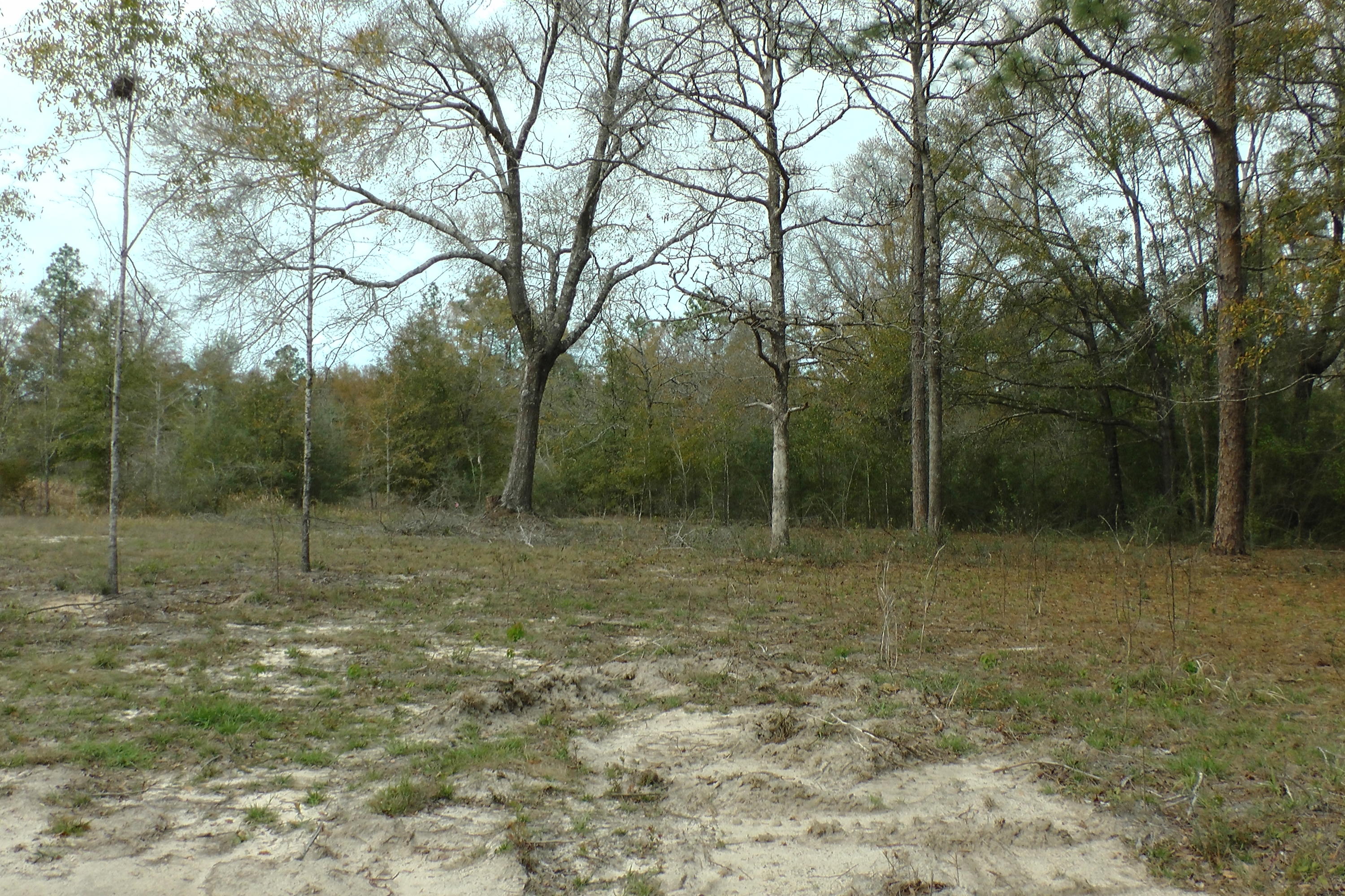 ASHTIN ESTATES - Residential