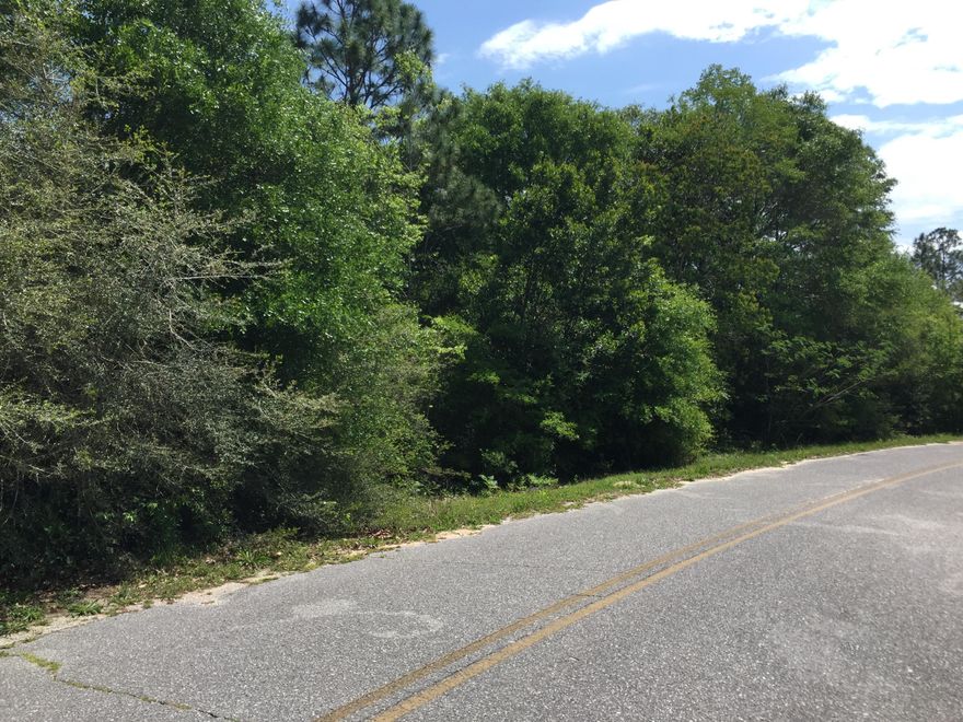 Price Reduced!! Last available buildable lot on Scott CT! This is one of the largest lots on Scott CT at 1.16 Acres. Survey available. Perfect site for your new home in Lake Juniper EST.