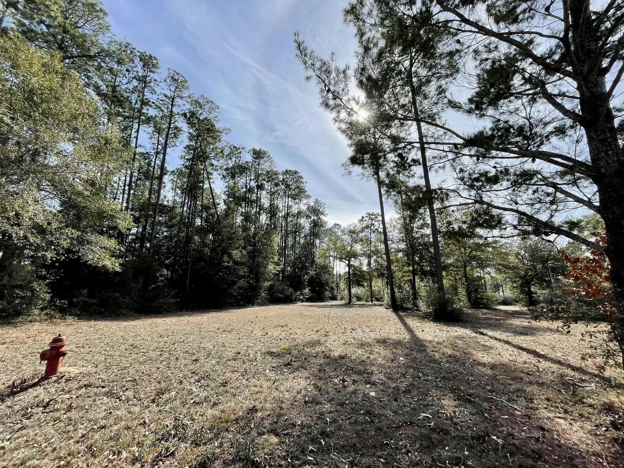Exciting opportunity! Two lots for a total of over 1.5 prime acres just outside DeFuniak Springs city limits. This property features two water meters, a septic tank (condition unknown), and a power pole. These two lots are partially cleared and ready to be built on. They also offer over 200 feet of paved road frontage. Your dream home awaits in this serene yet convenient location! Don't miss out on this ideal canvas for your future.