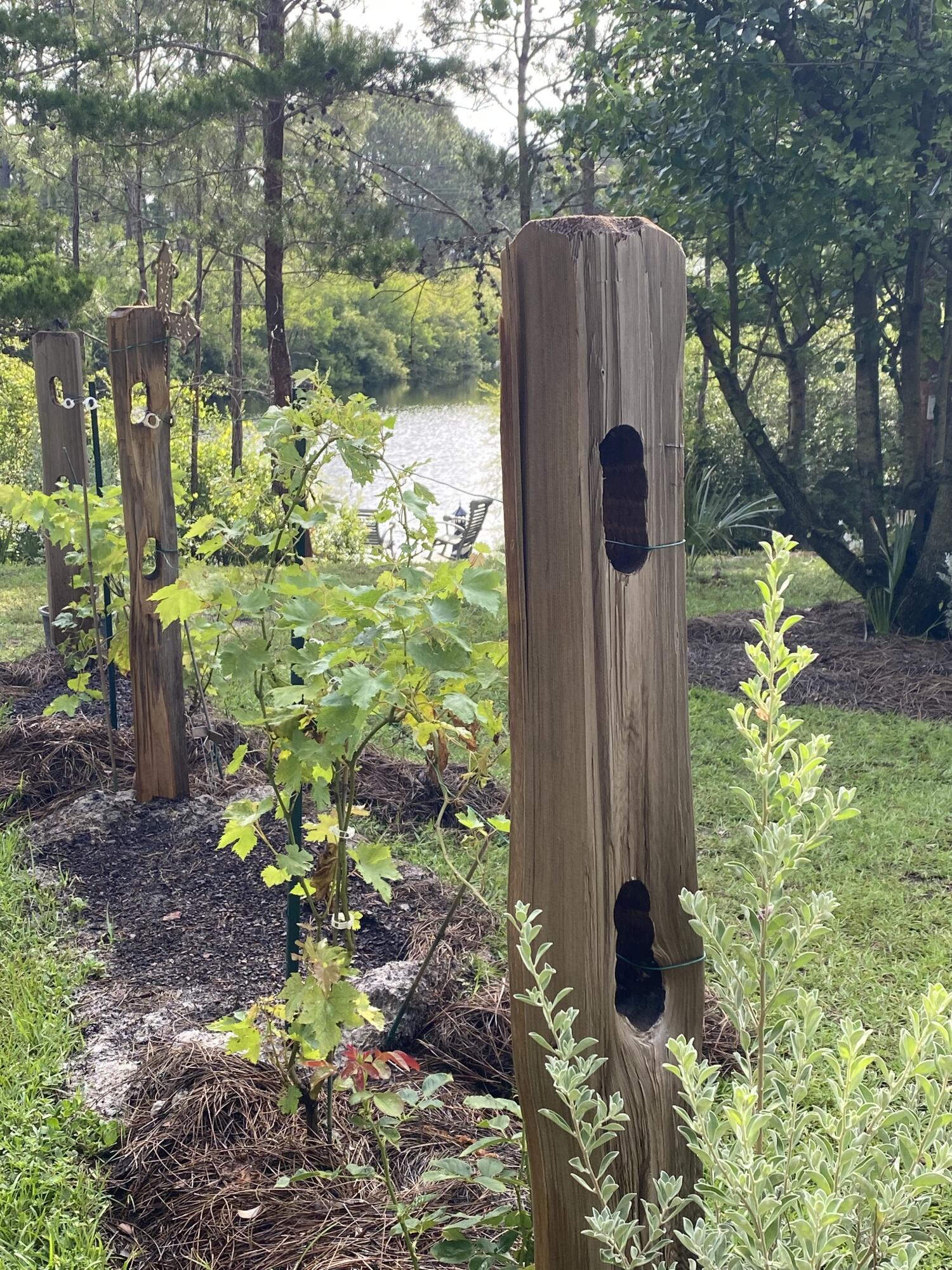 SANTA ROSA RIDGE UNIT 4 - Residential