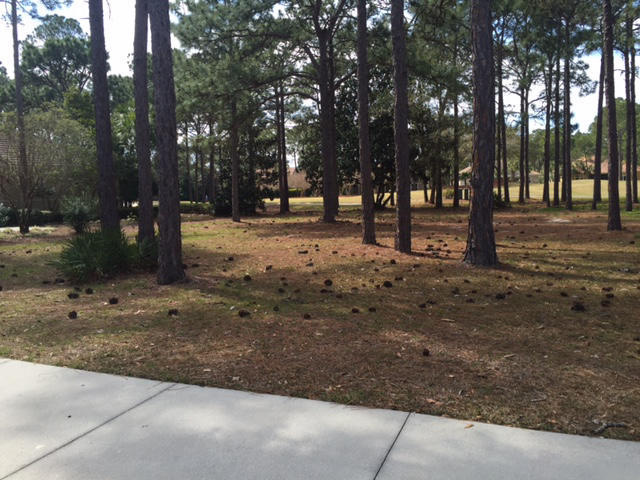 BAYTOWNE AVE EAST - Land