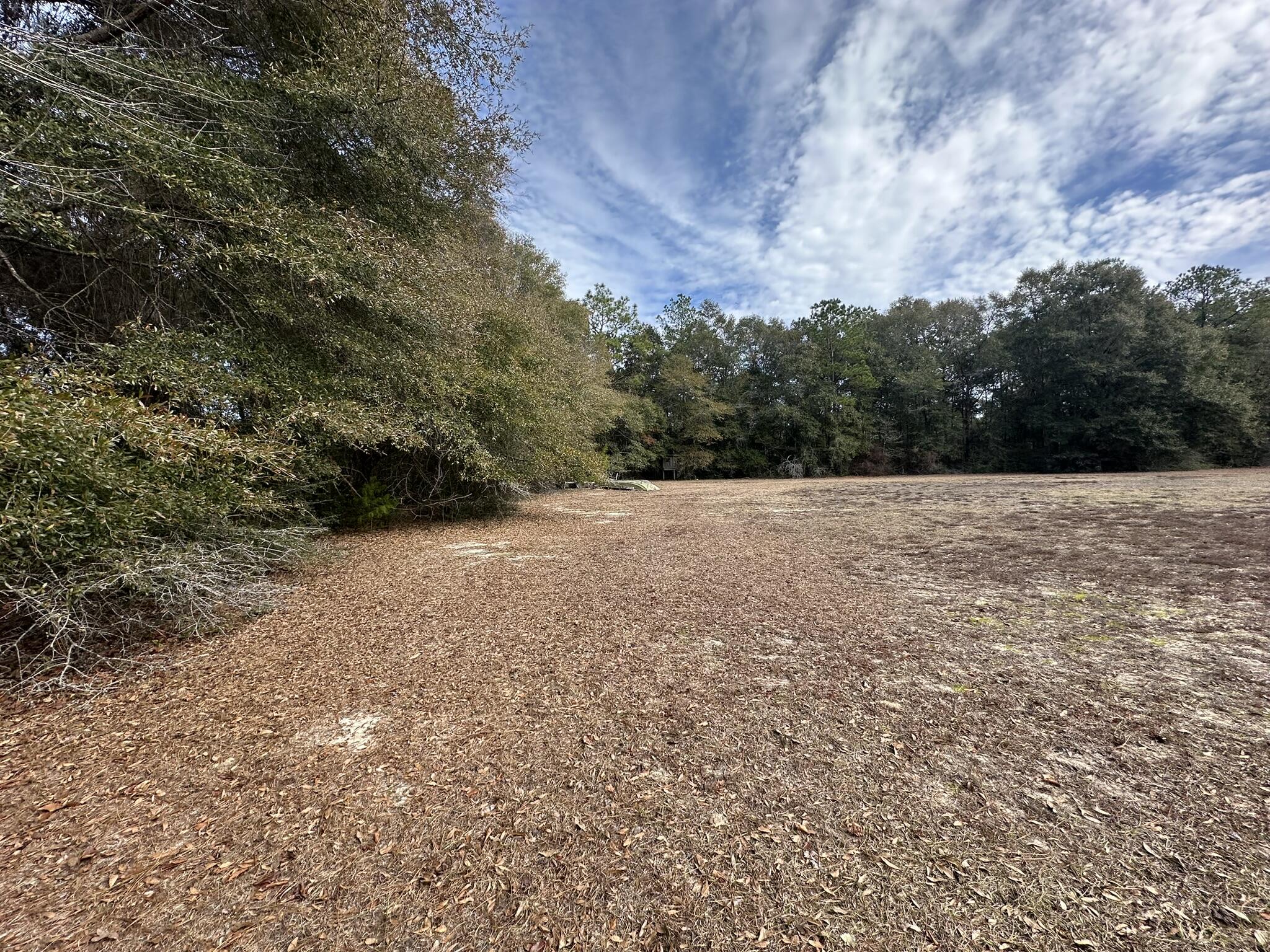 Discover the potential of Parcel F, a generous approximately .82-acre homesite nestled within the sought-after Auburn/Garden City area of Crestview. This property offers a unique opportunity to craft your ideal living space, with the convenience of local amenities and the allure of nearby beaches. Embrace the tranquility of residential living while remaining connected to the vibrant pulse of the Emerald Coast.