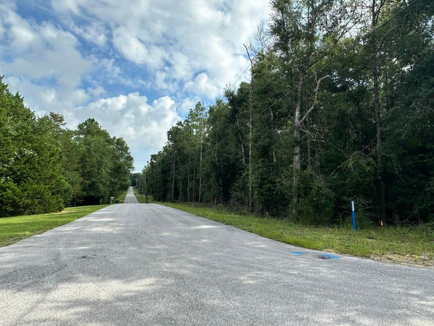 Discover the potential of Parcel F, a generous approximately .82-acre homesite nestled within the sought-after Auburn/Garden City area of Crestview. This property offers a unique opportunity to craft your ideal living space, with the convenience of local amenities and the allure of nearby beaches. Embrace the tranquility of residential living while remaining connected to the vibrant pulse of the Emerald Coast.