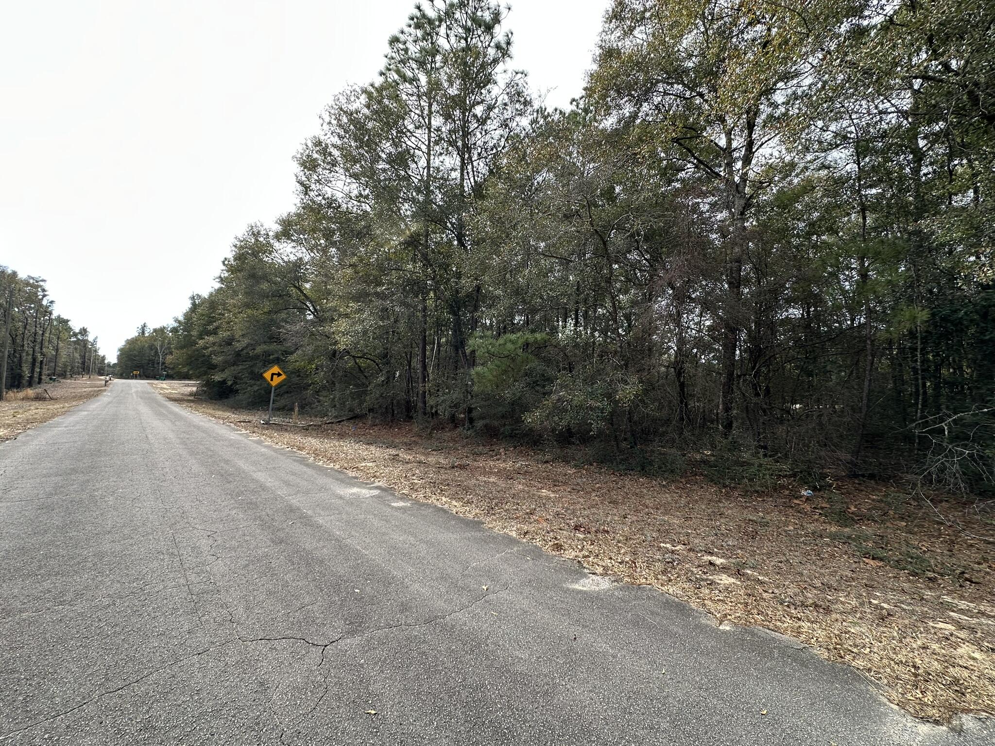 Discover the potential of Parcel F, a generous approximately .82-acre homesite nestled within the sought-after Auburn/Garden City area of Crestview. This property offers a unique opportunity to craft your ideal living space, with the convenience of local amenities and the allure of nearby beaches. Embrace the tranquility of residential living while remaining connected to the vibrant pulse of the Emerald Coast.