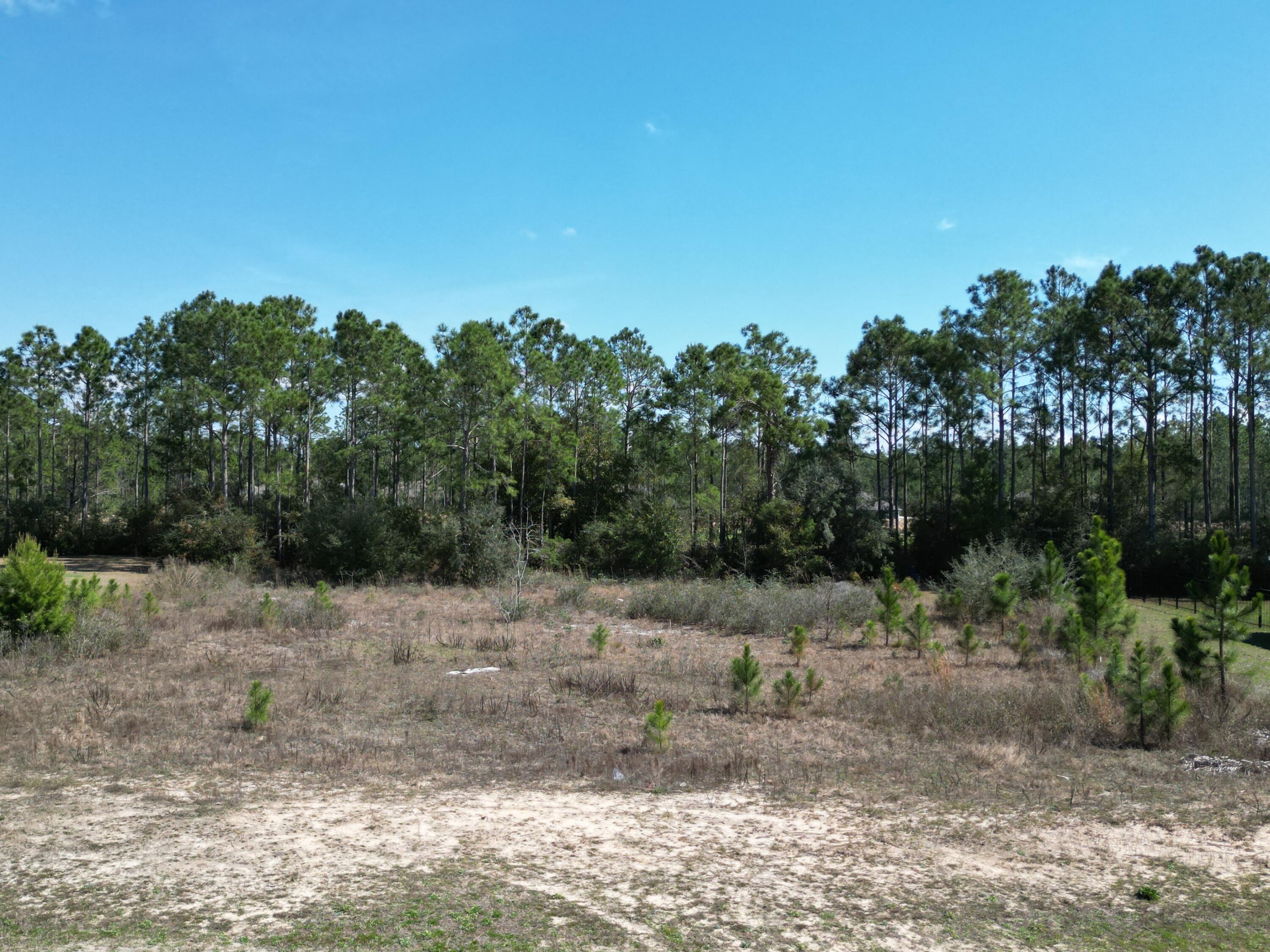 WINDSWEPT ESTATES - Land