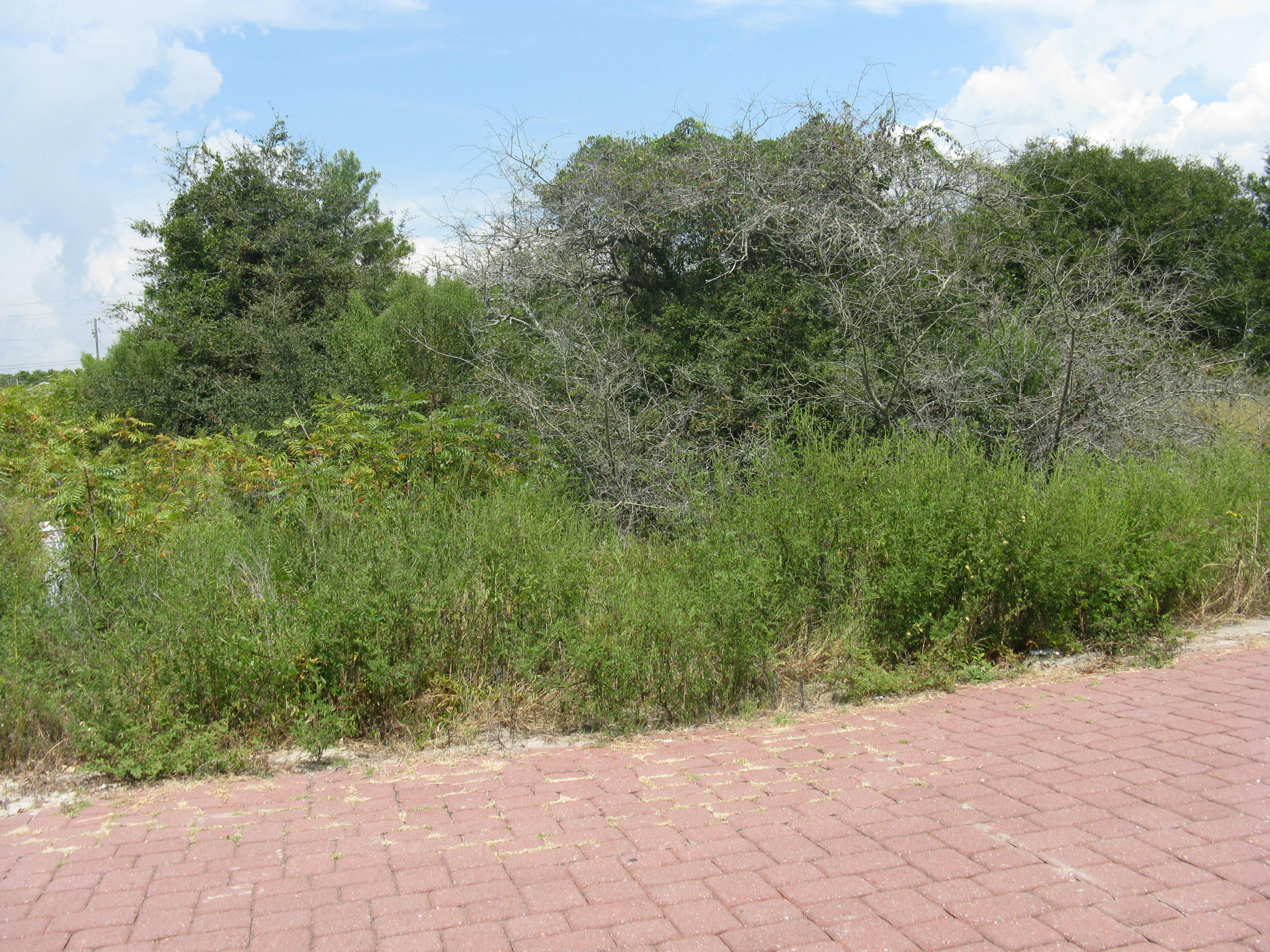 WATERSIDE AT INLET BEACH - Land