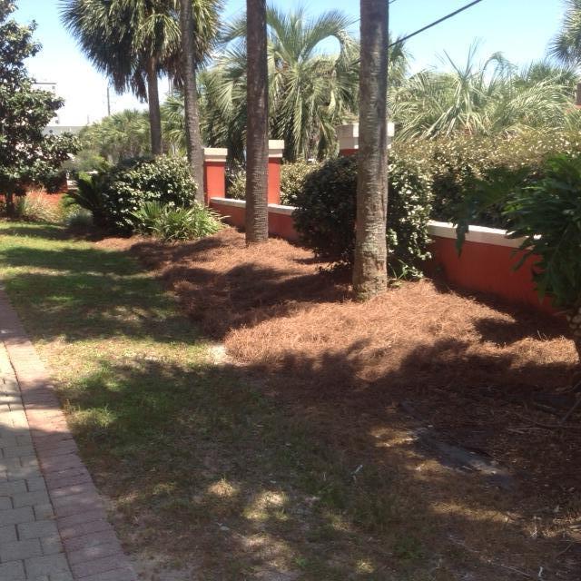 TERRA COTTA TERRACE - Residential