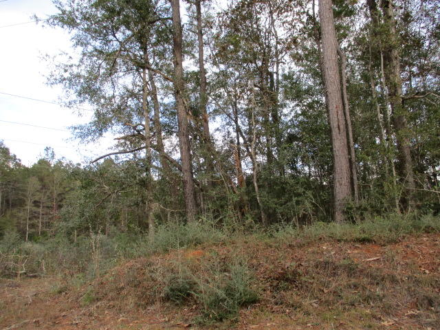 Heavily wooded 20 acre parcel in Walton county south of Ponce de leon. Parcel has 200 ft electric right of way going through the south corner. Plenty of land left to build your home, put a mobile home, or hunt. Paved road frontage on State Hwy 81. About 45 minute drive from Panama City Beach.