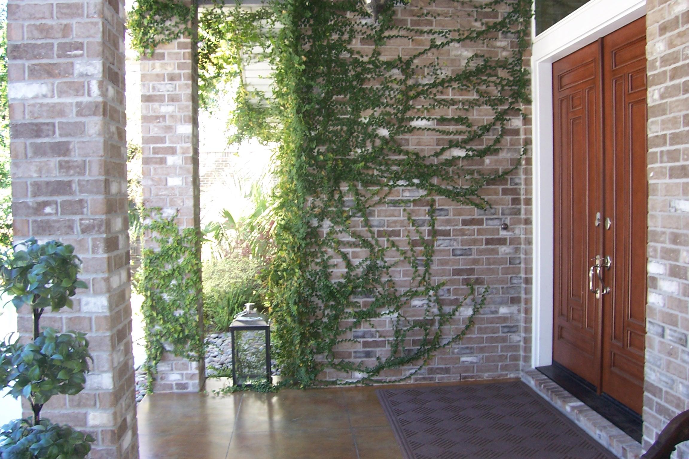 GARNIERS BEACH - Residential