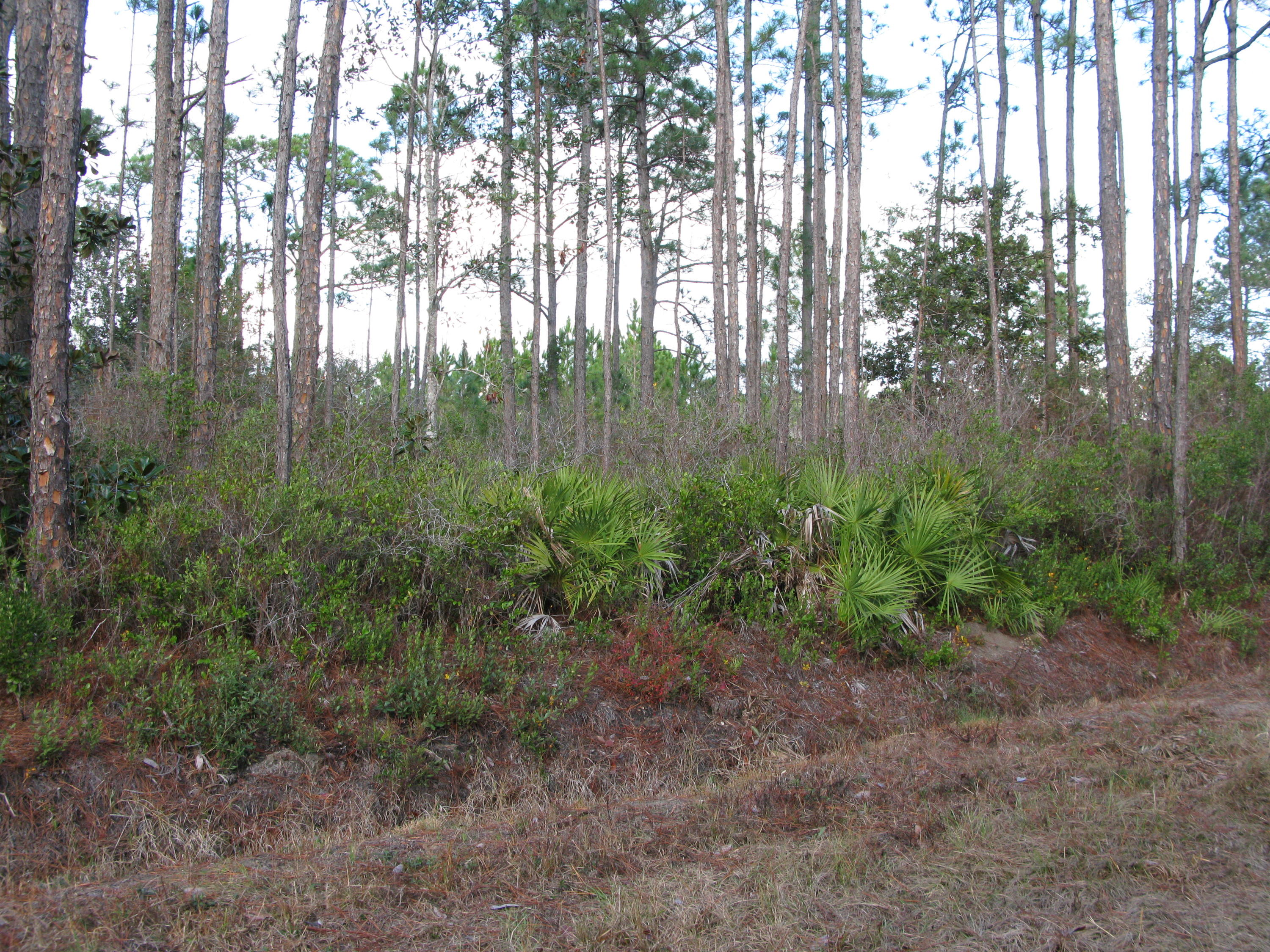 PLEASANT ACRES UNREC - Land