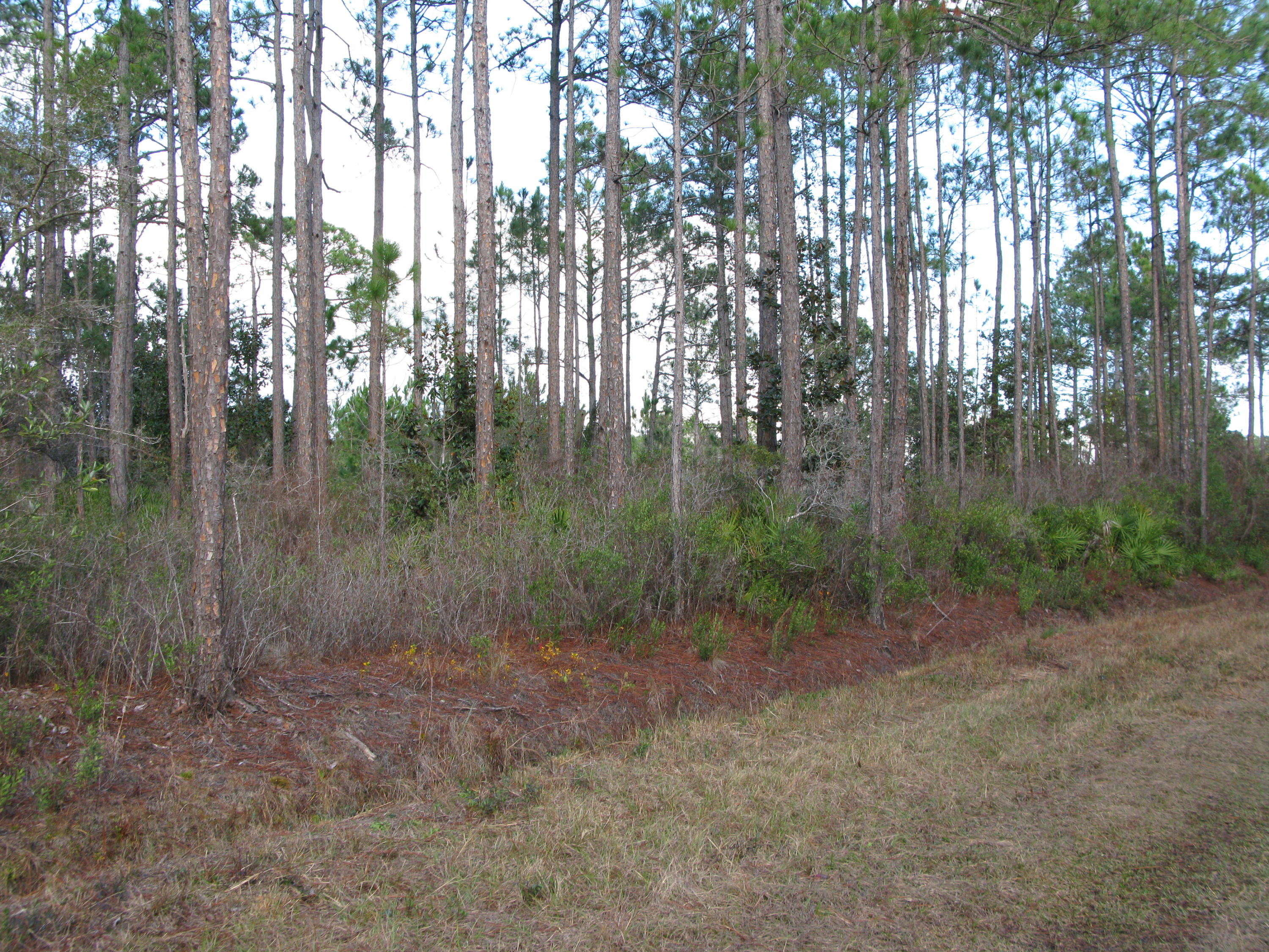 PLEASANT ACRES UNREC - Land