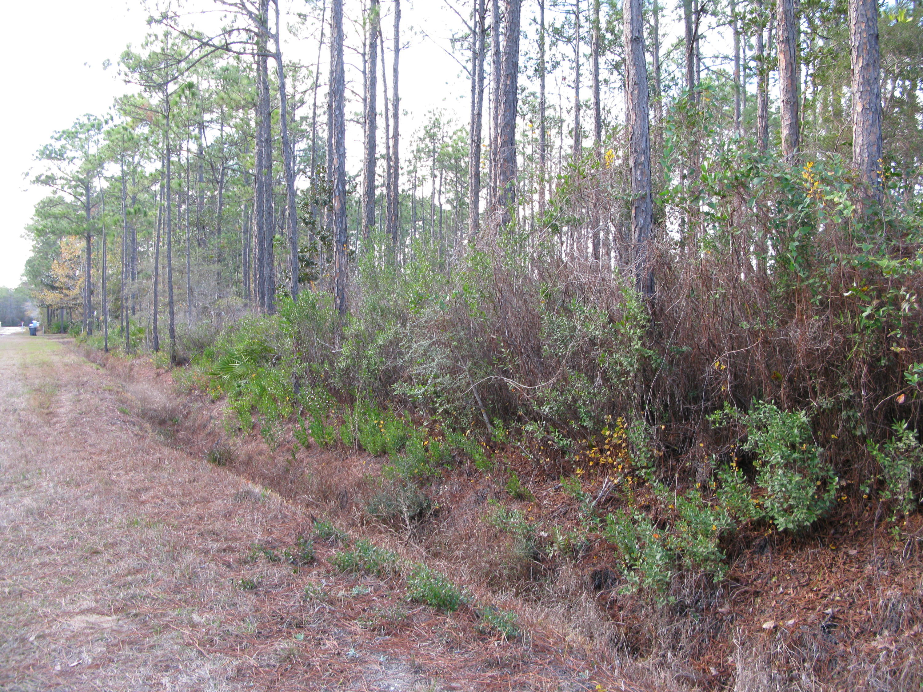 PLEASANT ACRES UNREC - Land