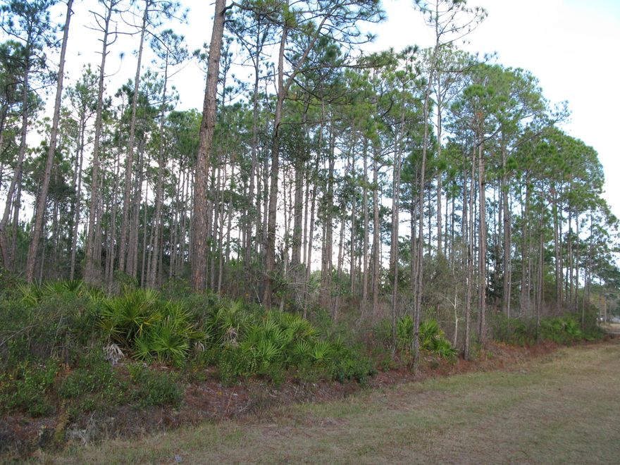 BUILD YOUR DREAM! THERE ARE 3 LOTS FOR SALE. THIS IS THE END LOT. CAN BE PURCHASED INDIVIDUALLY OR ALL TOGETHER.