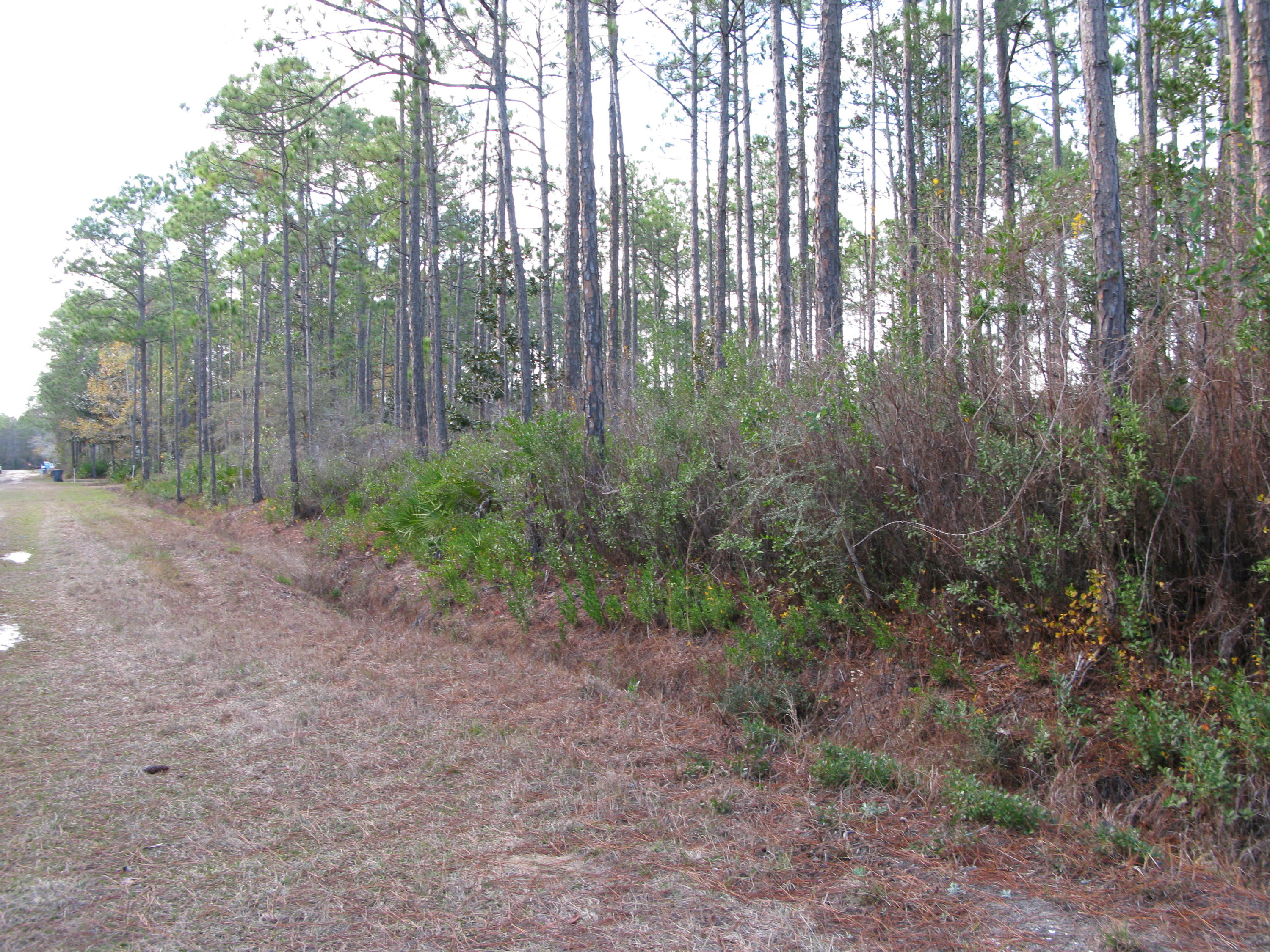 PLEASANT ACRES UNREC - Land