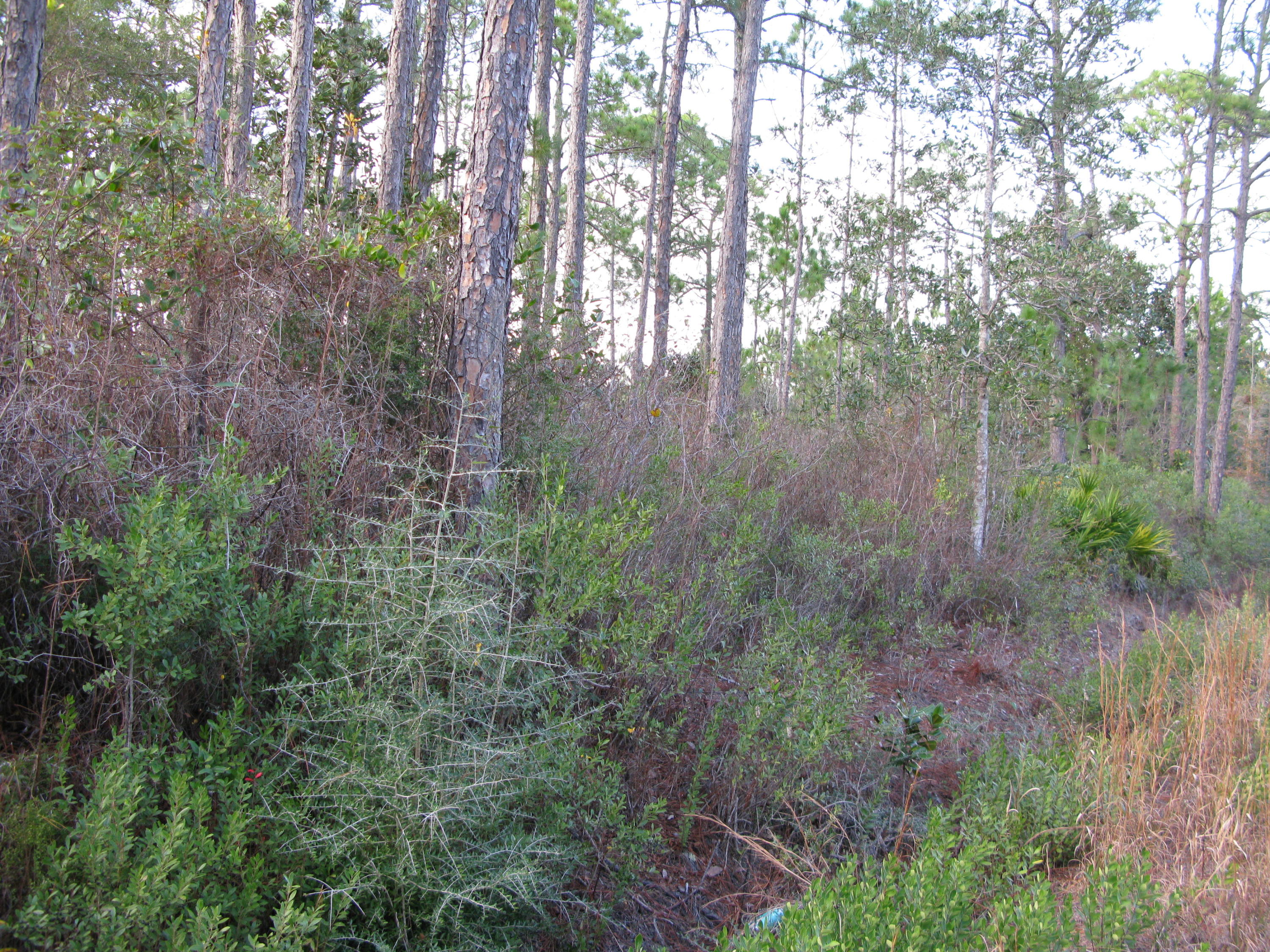 PLEASANT ACRES UNREC - Land