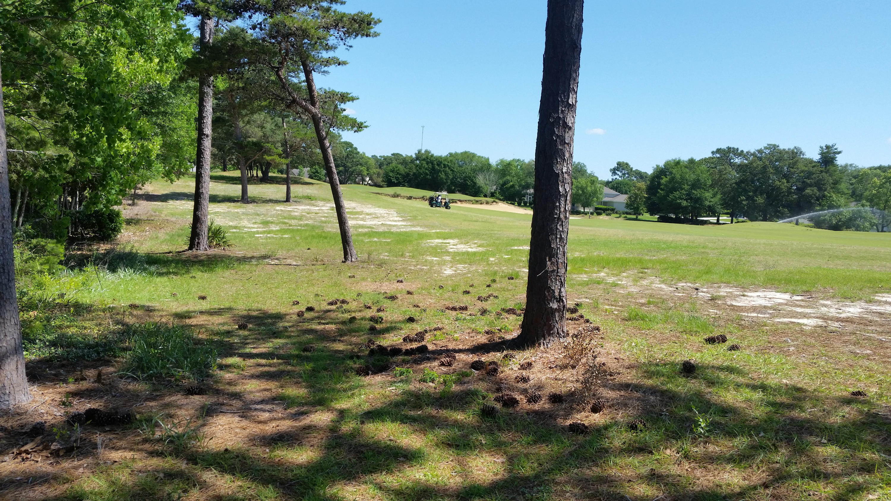 LAKE LORRAINE ESTATES 1 - Residential