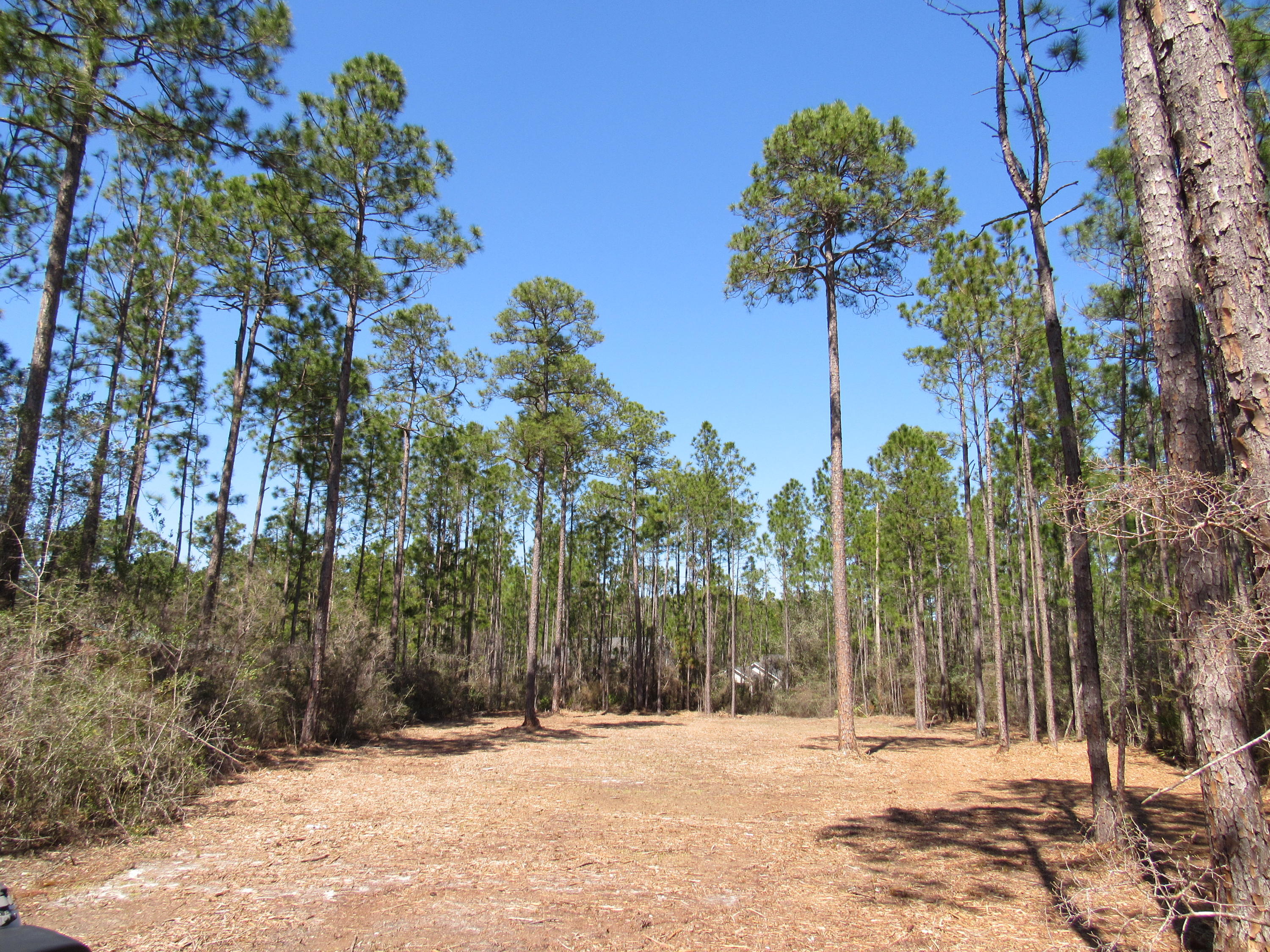 CREEKSIDE S/D - Land