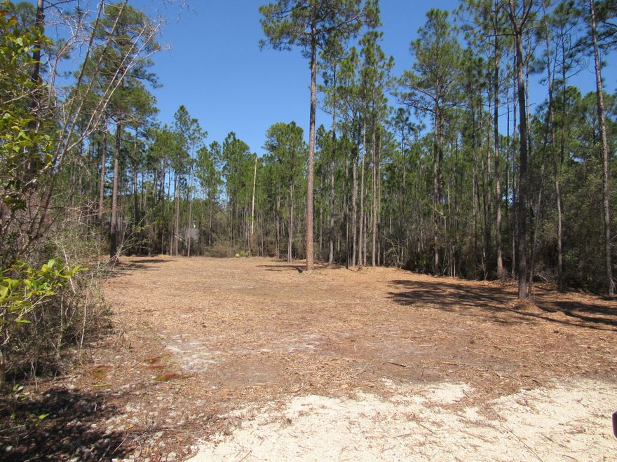 Price Reduced! Beautiful lot in a well established neighborhood in Freeport! Don't miss the opportunity to build on this beautifully cleared lot in Freeport! This lot is centrally located to 331S and just a short drive to the Beaches of South Walton! Utilities are available and the lot has been selectively cleared with shade trees remaining for when you build your forever home here! This subdivision hosts two docks/piers that access Black Creek. The seller is placing a deed restriction on this lot to read that no mobile homes will be allowed on this particular lot. Call for your tour today!