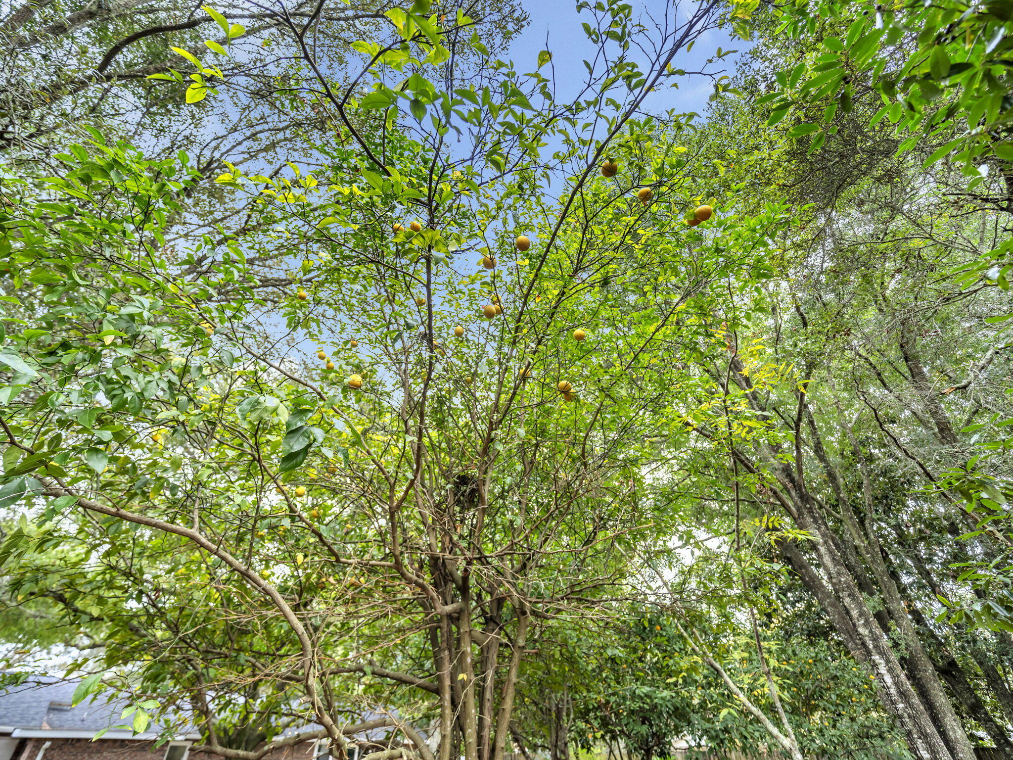 EASTWOOD 6TH ADDN LOT 12 BLK J - Residential