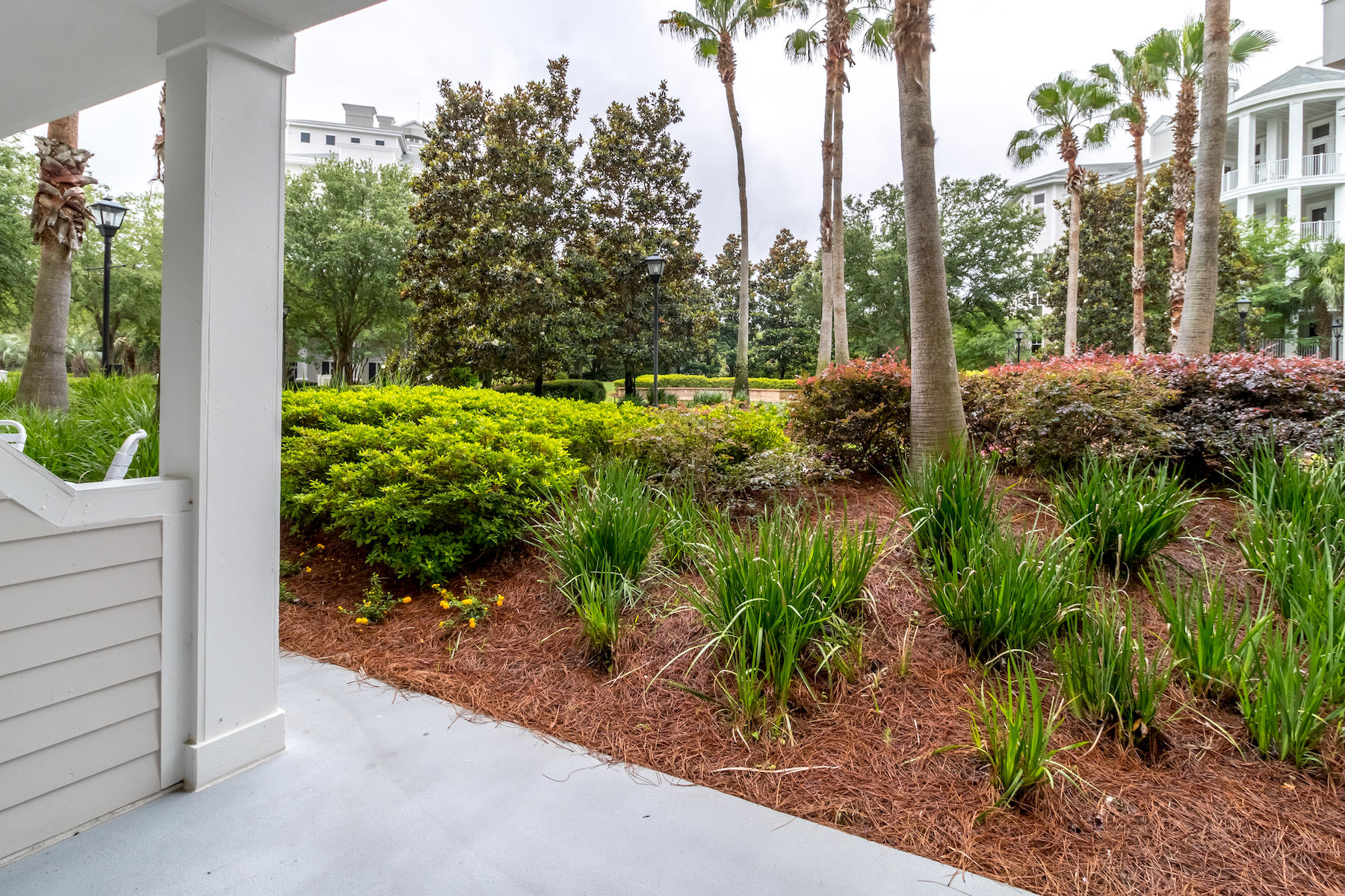 ELATION - Residential