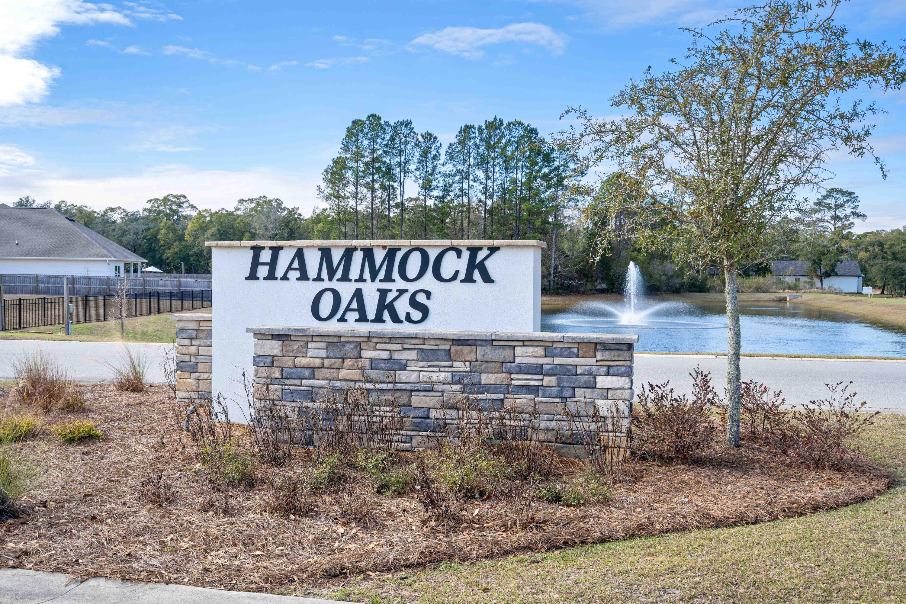 Hammock Oaks Estates - Residential