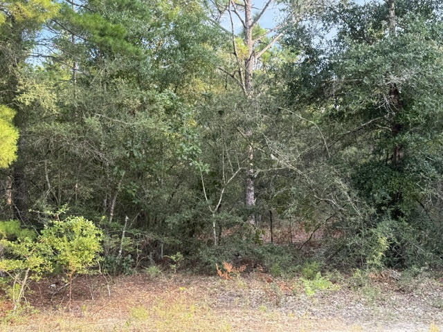 OAKWOOD HILLS UNIT 5 - Land