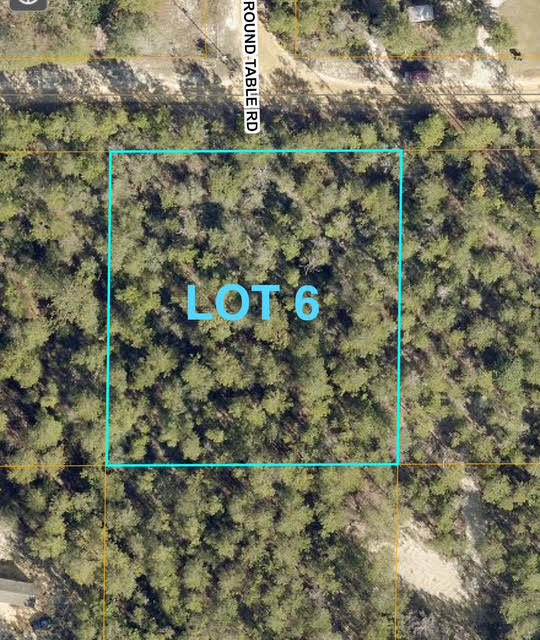 Nearly 1-acre wooded lot in Mossy Head. Lot 6 is ideal for a site built or manufactured home. Located on peaceful Margaret Blvd with electricity and public water available at the road. Enjoy privacy and nature while being just 15 minutes from local shopping and dining, and 30 to 45 minutes from surrounding cities. The adjacent 0.98-acre lot is also for sale purchase one or both for added space and opportunity. Great investment in a growing area