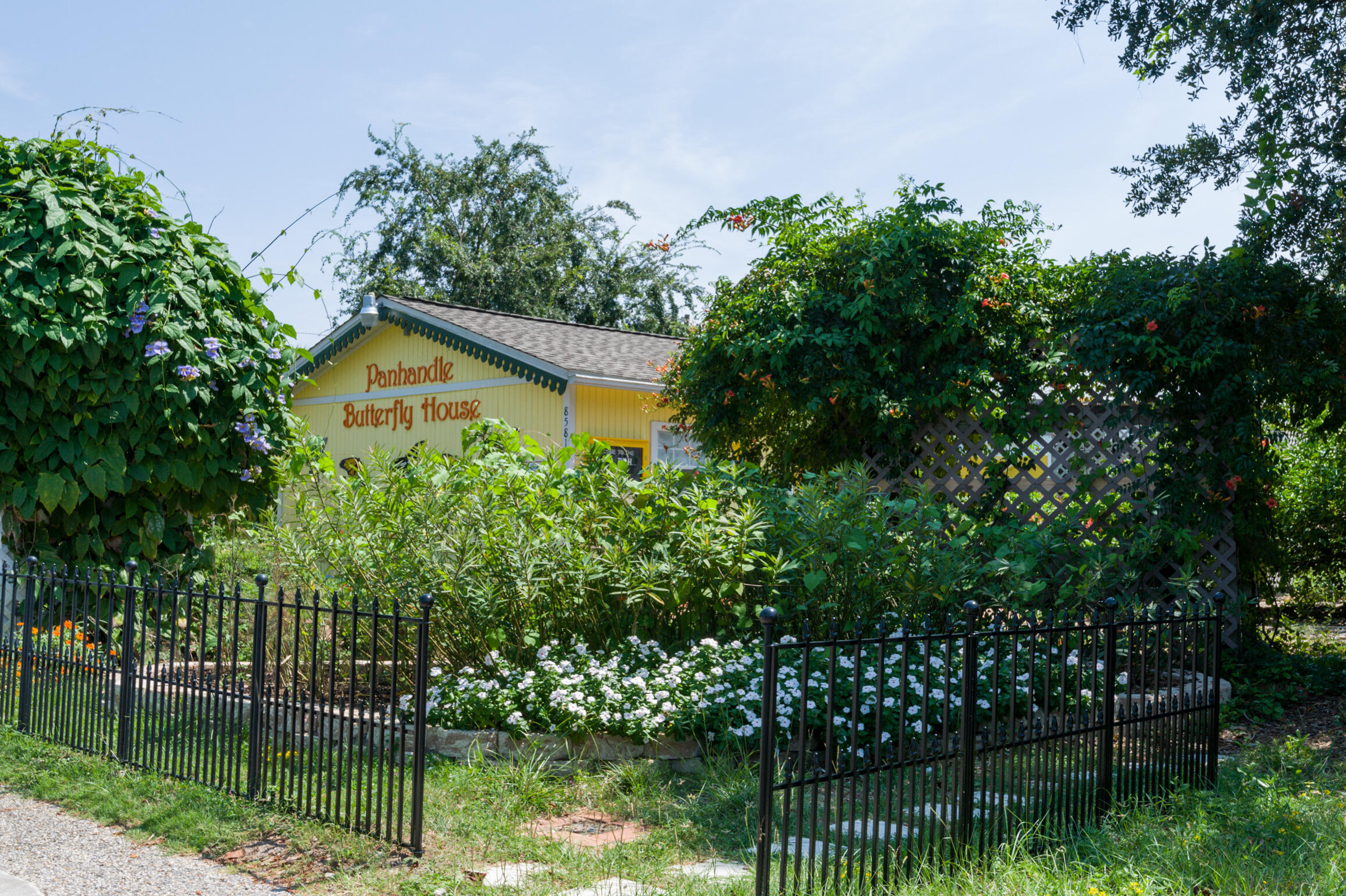 GULF ISLAND CONDOS - Residential