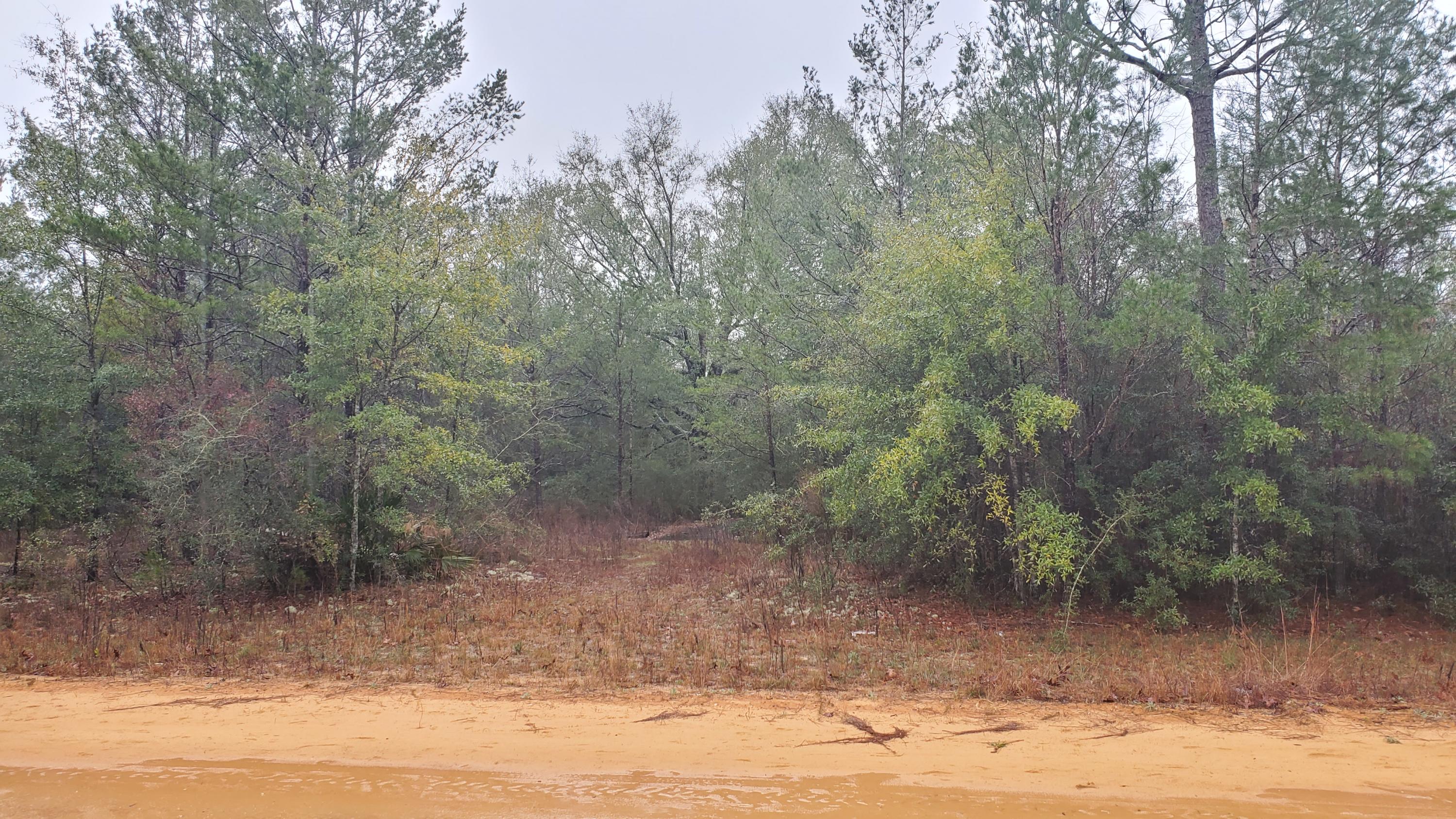 Have you been looking for a great deal!! Here it is!! This is your chance to purchase 3 contiguous lots in Oakwood Hills, Unit 3 Keep all 3 and have nearly 3/4 of an acre!! Call today!!