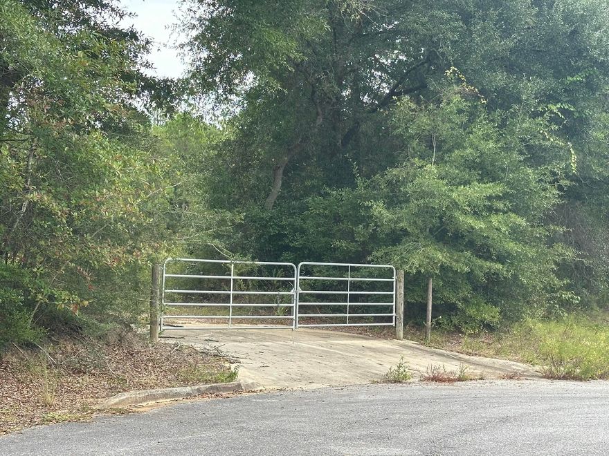 Excellent opportunity on E Chestnut Avenue in Southeast Crestview. Zoned Low Density Residential, this parcel offers flexibility for a potential future homesite or other permitted residential use. The setting provides room for thoughtful design and development in an established area of town. A great option for those planning a custom build or investment project. Buyer to verify zoning details, dimensions, access, and all intended uses.