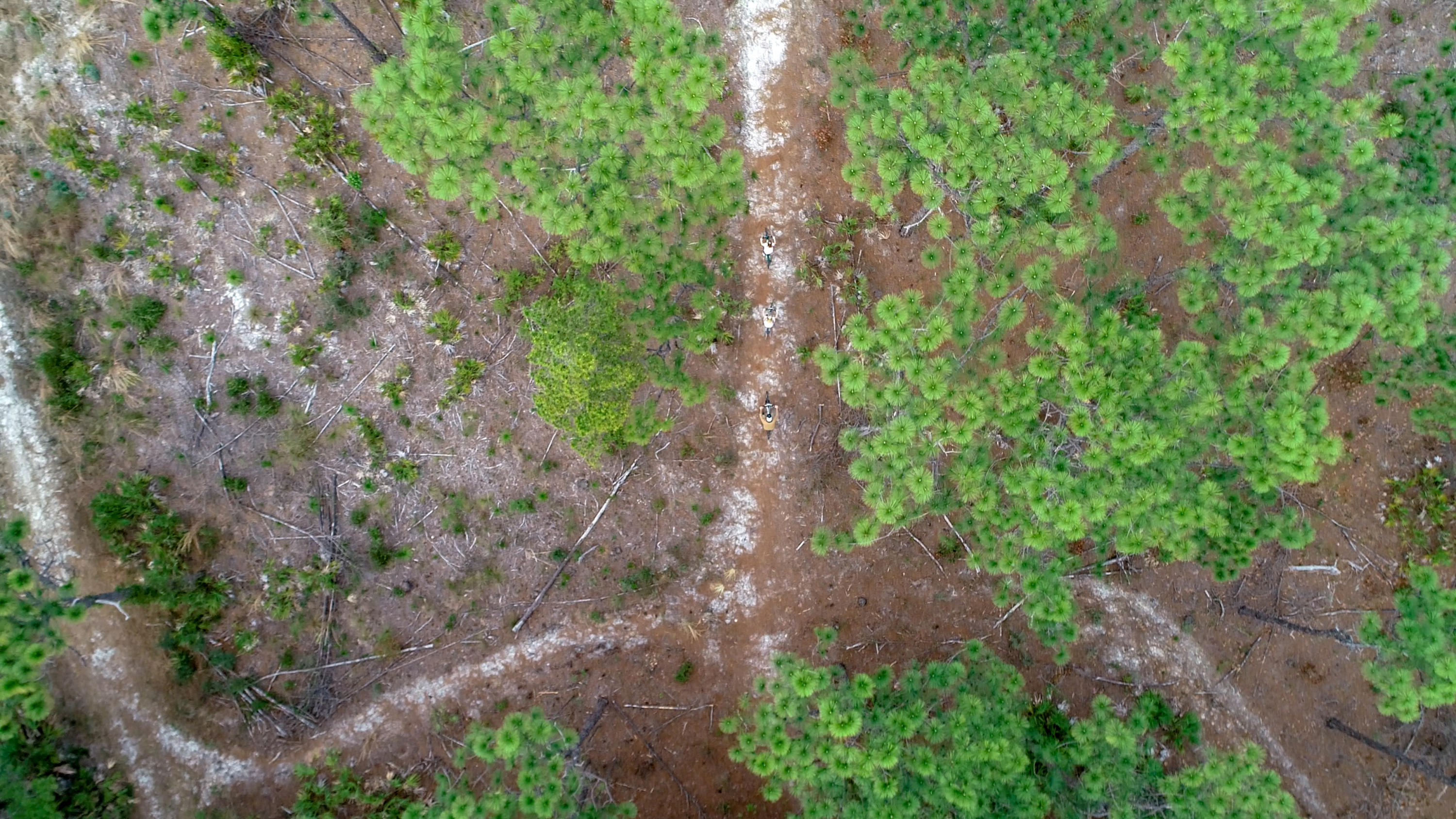 CYPRESS BREEZE PLANTATION III - Residential